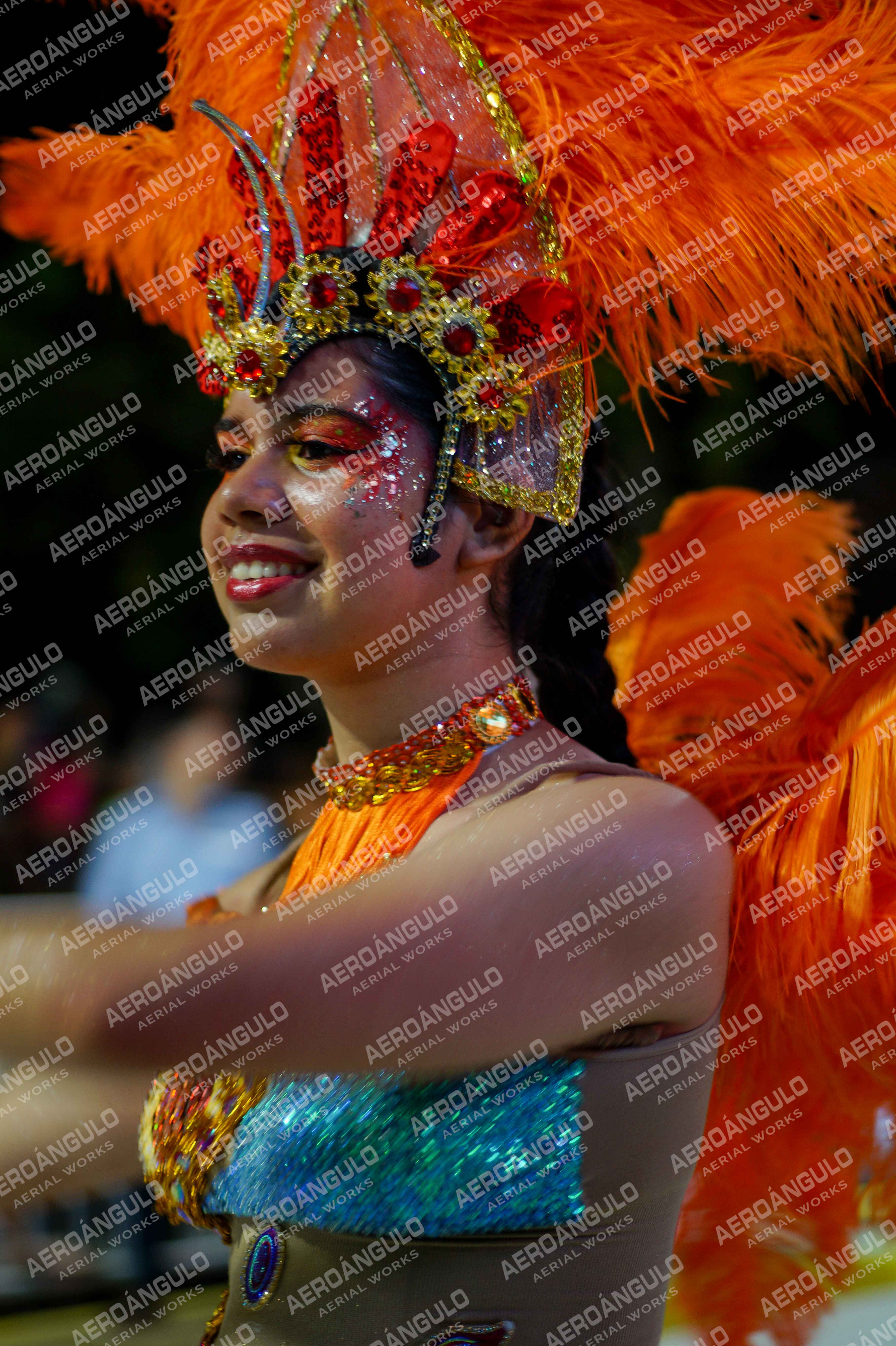 CAROCARNAVALESDIA1 N°239