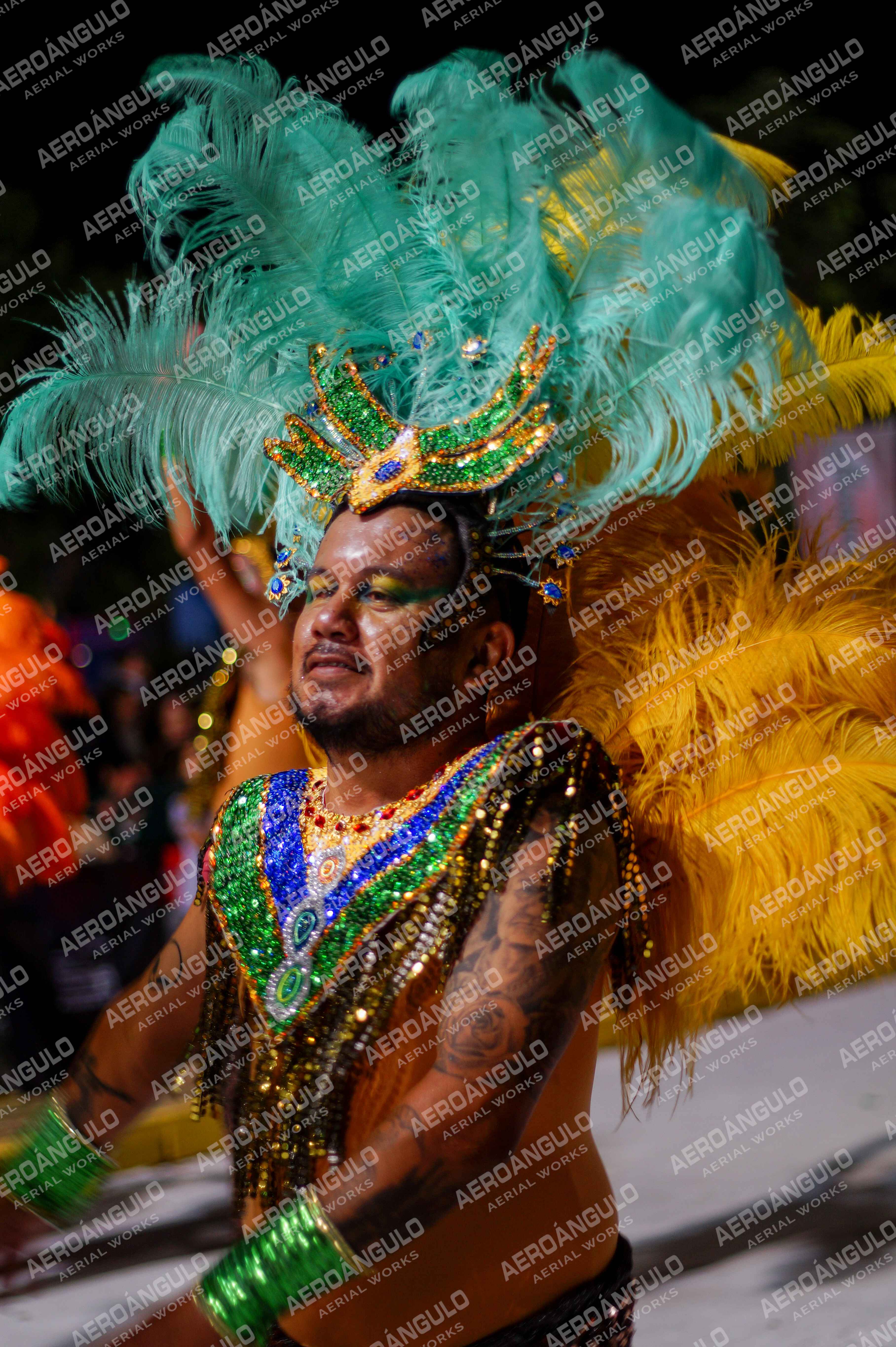 CAROCARNAVALESDIA1 N°241