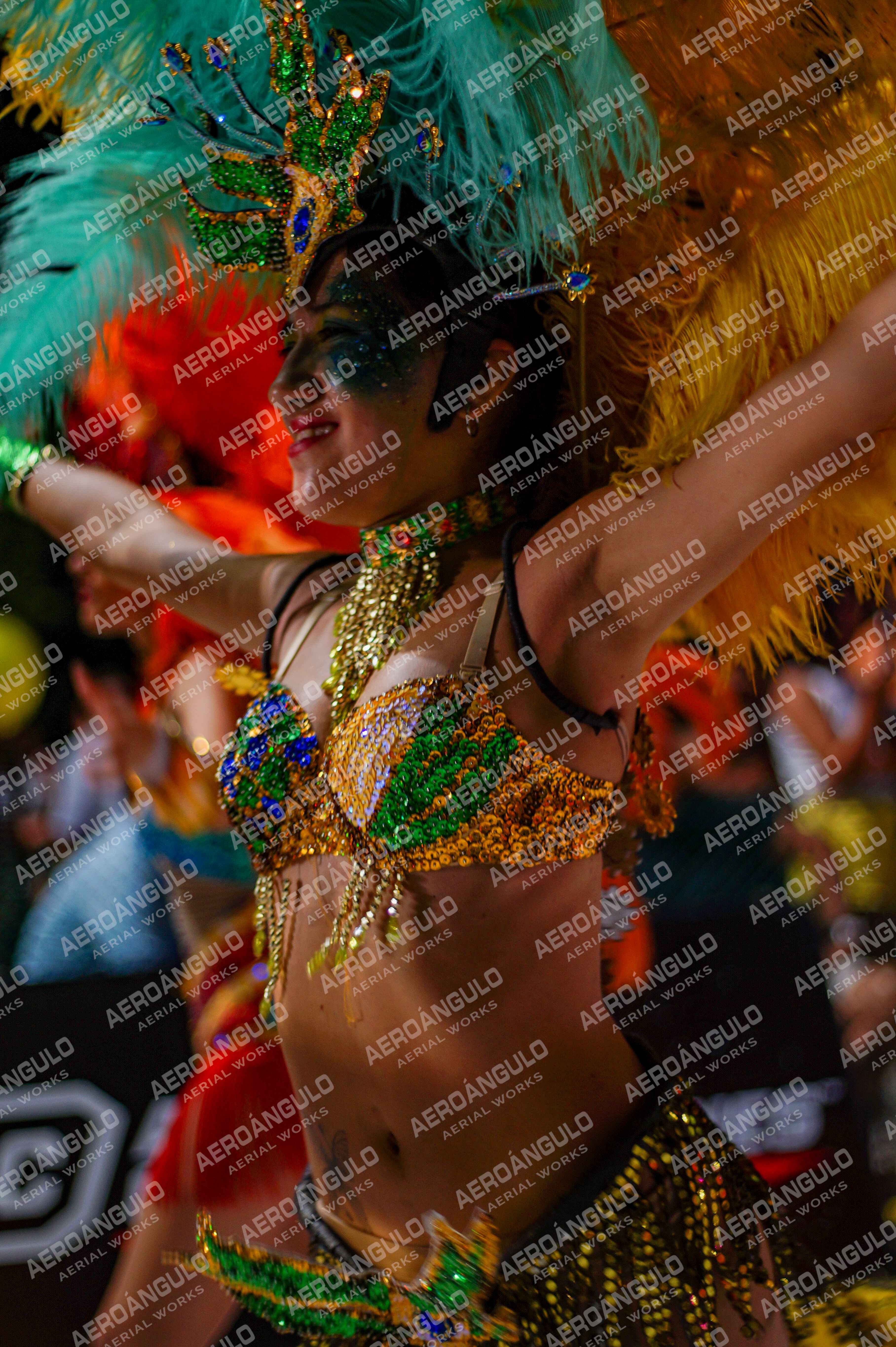 CAROCARNAVALESDIA1 N°242