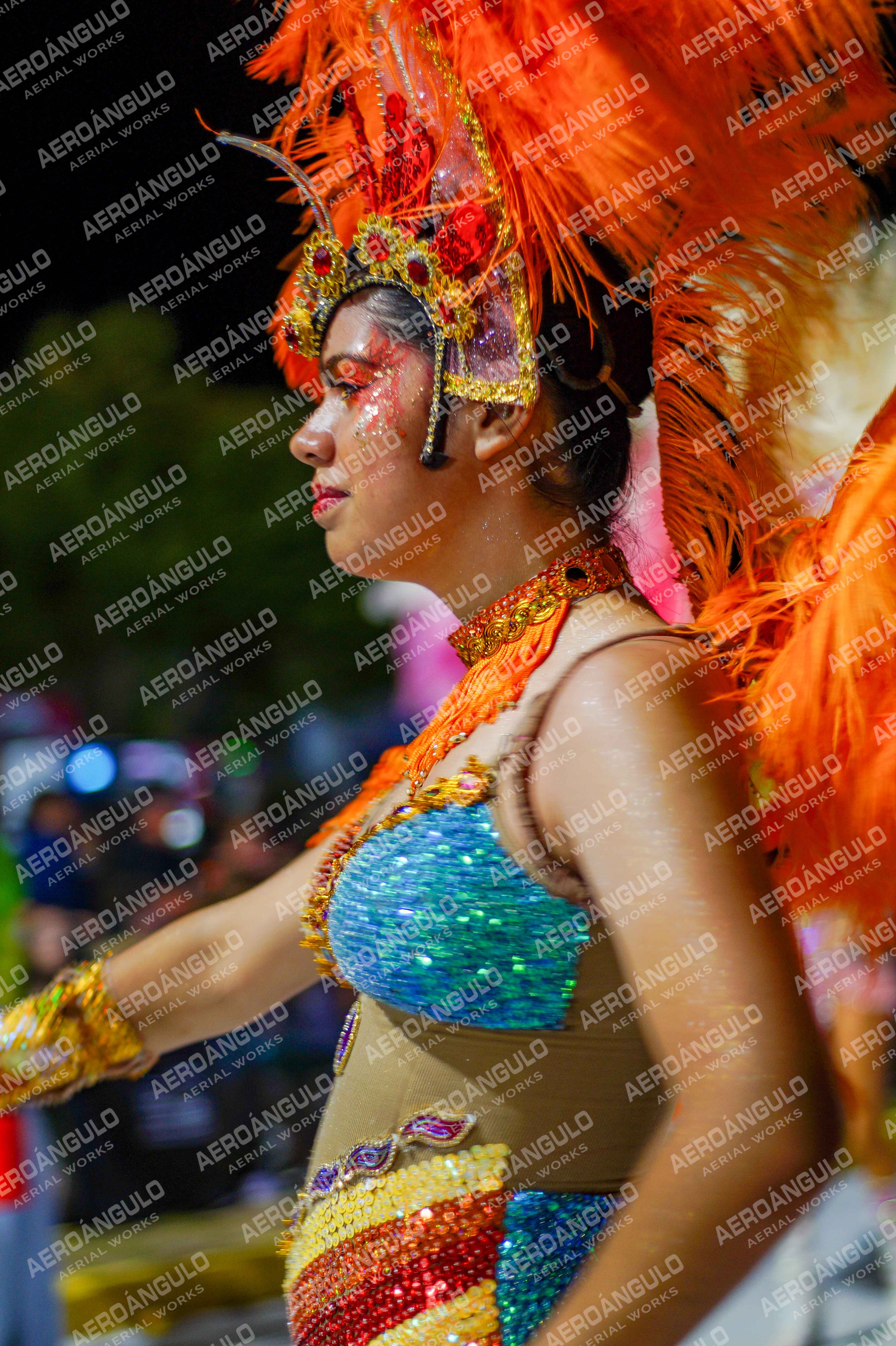 CAROCARNAVALESDIA1 N°243