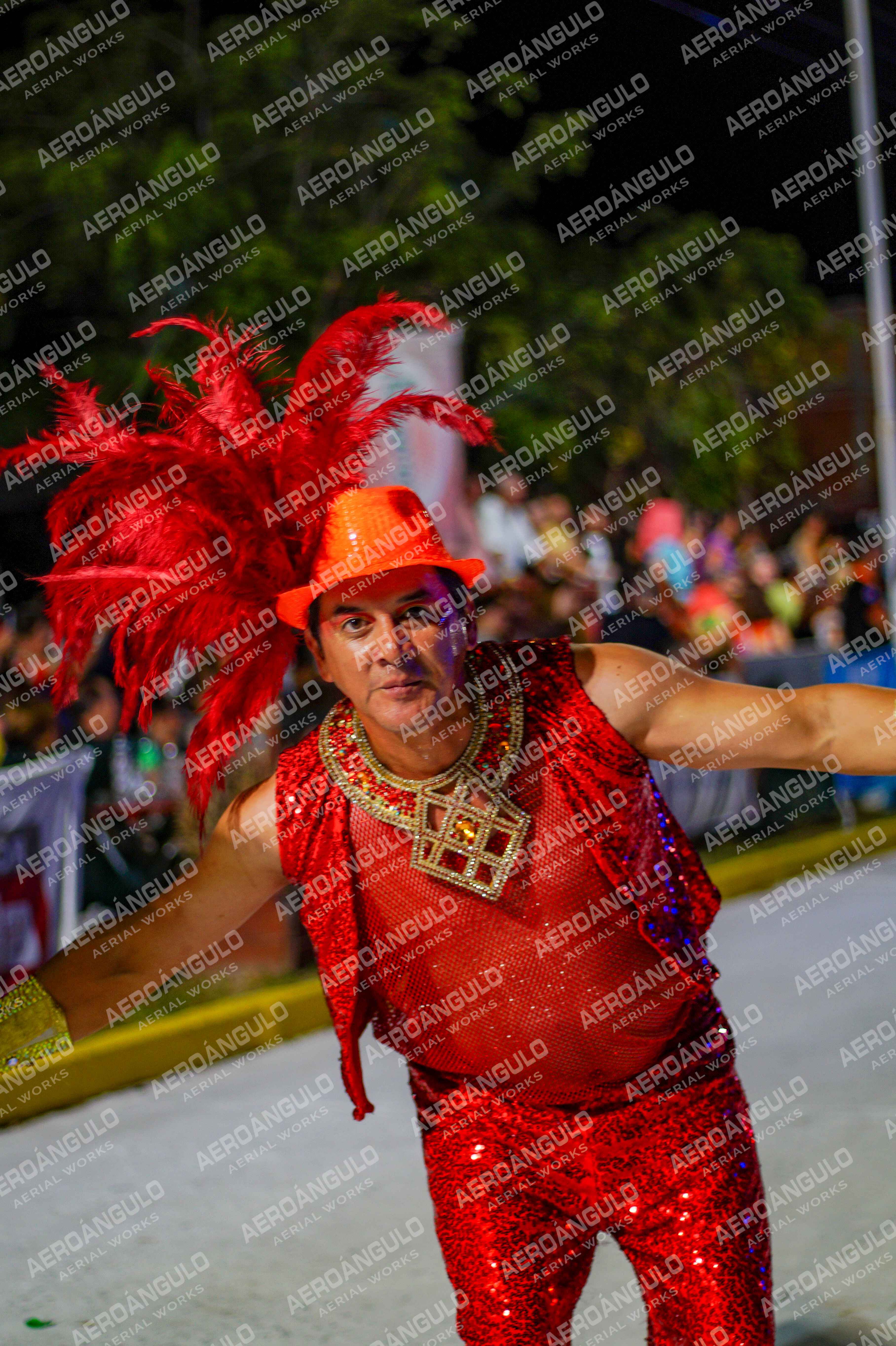 CAROCARNAVALESDIA1 N°244