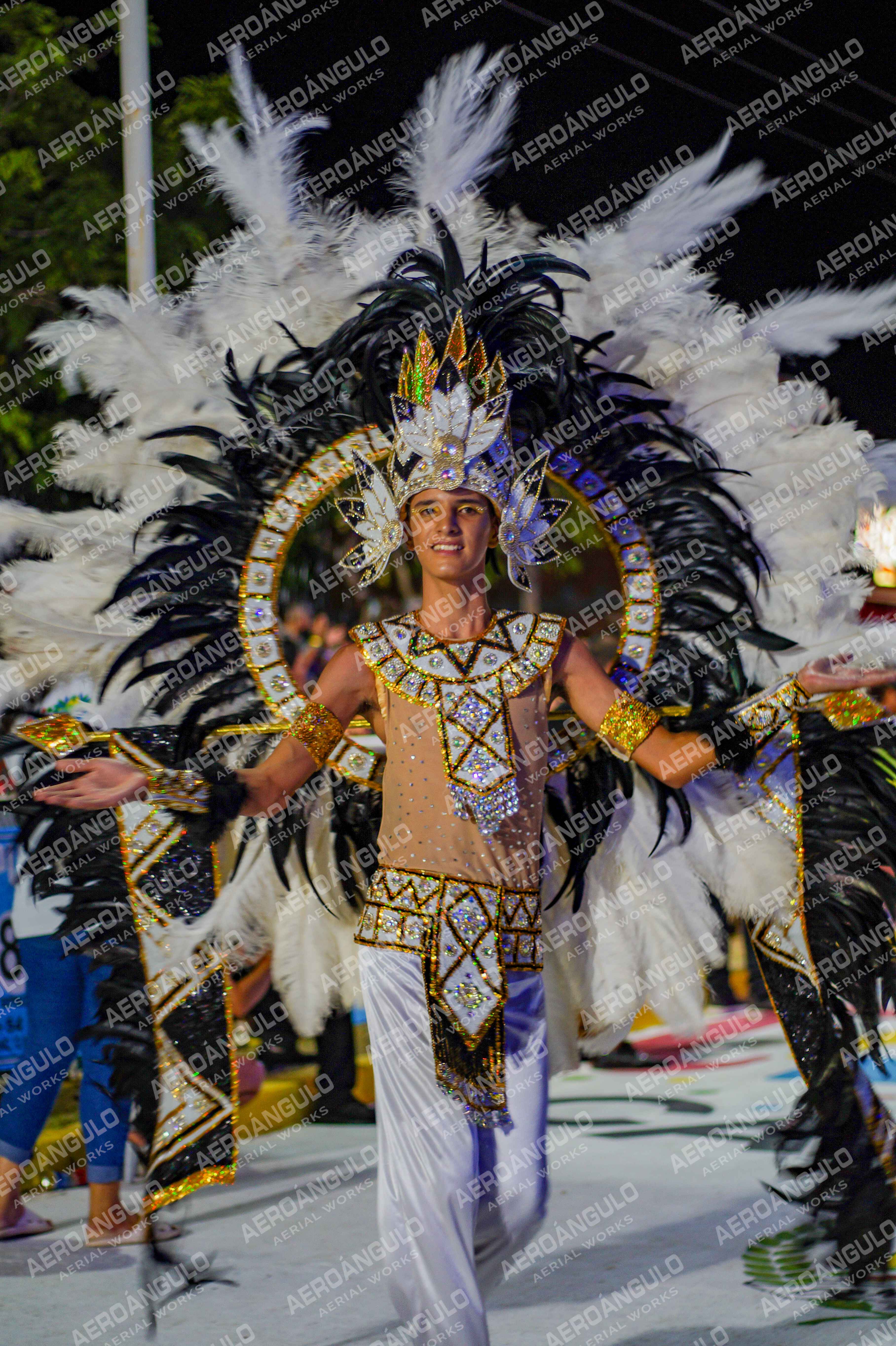 CAROCARNAVALESDIA1 N°245
