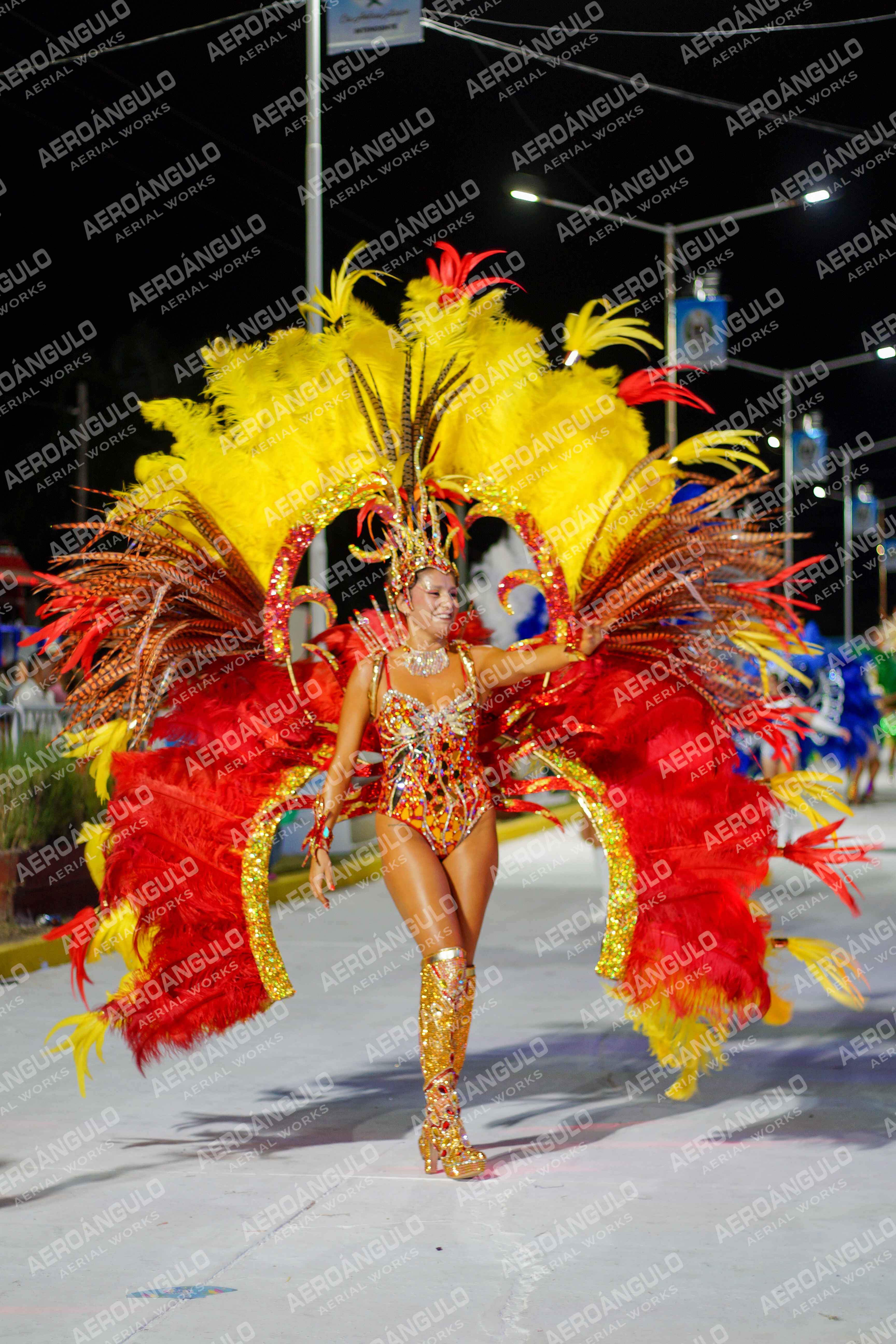CAROCARNAVALESDIA1 N°247
