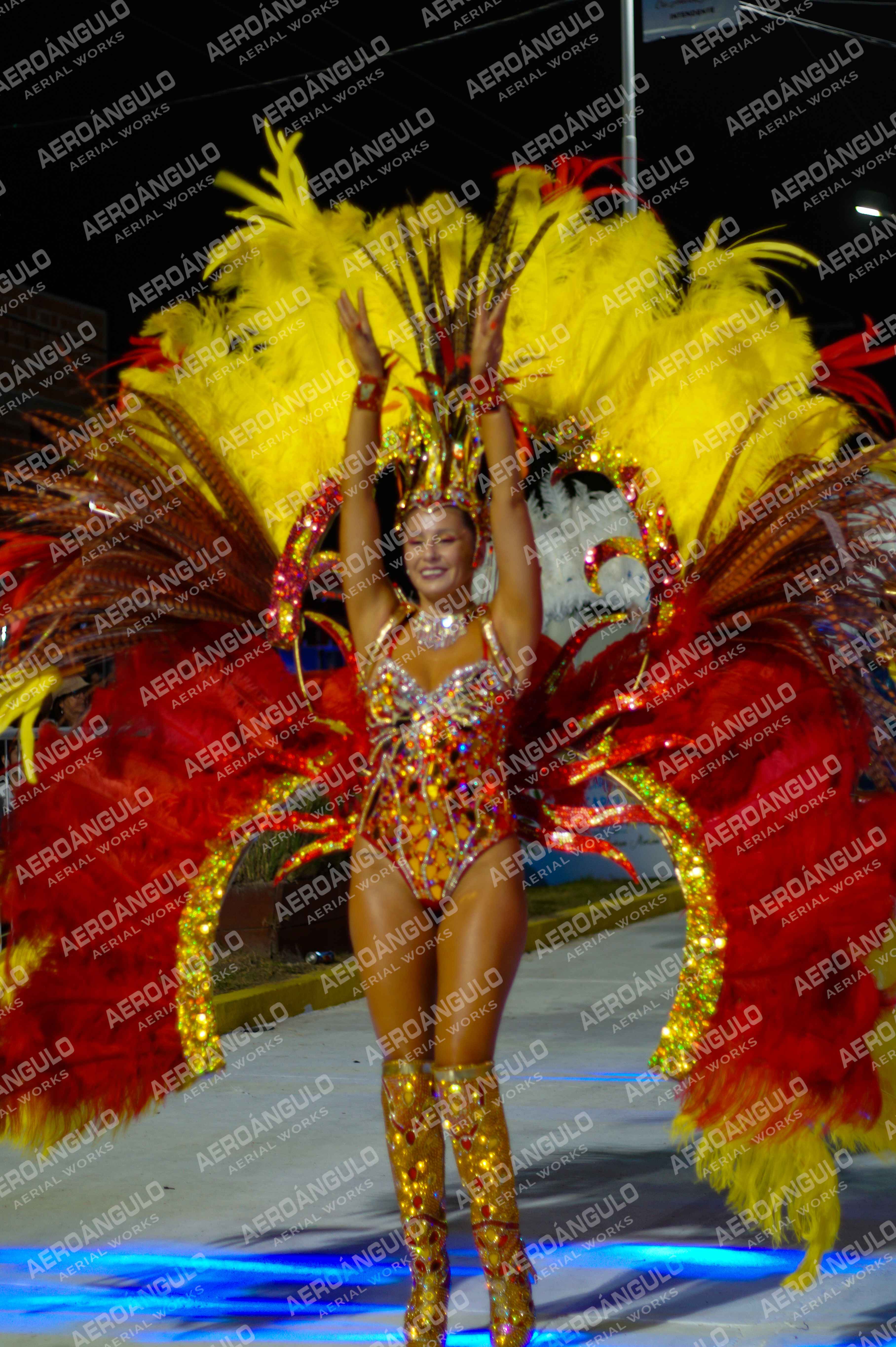 CAROCARNAVALESDIA1 N°248