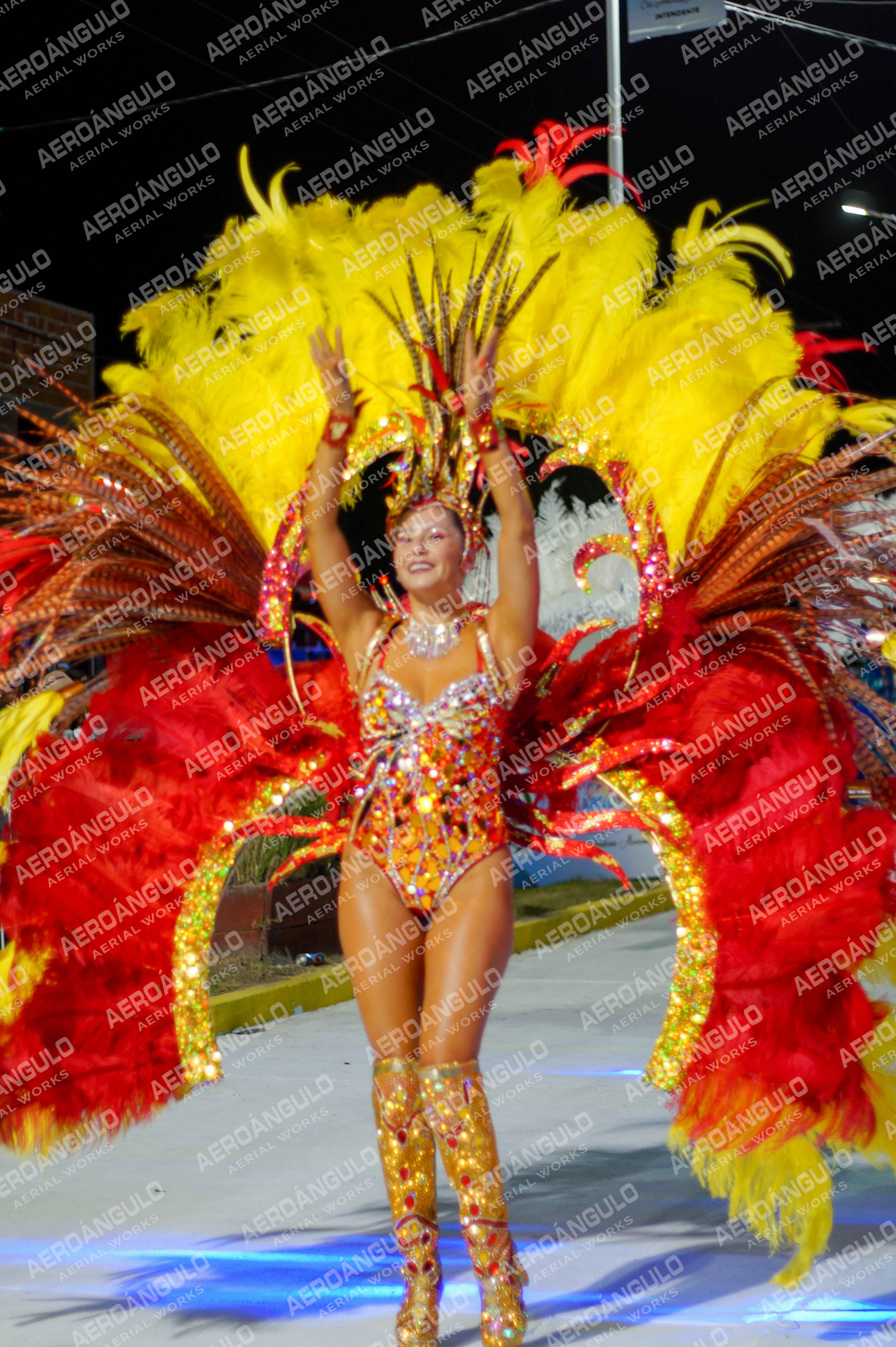 CAROCARNAVALESDIA1 N°249