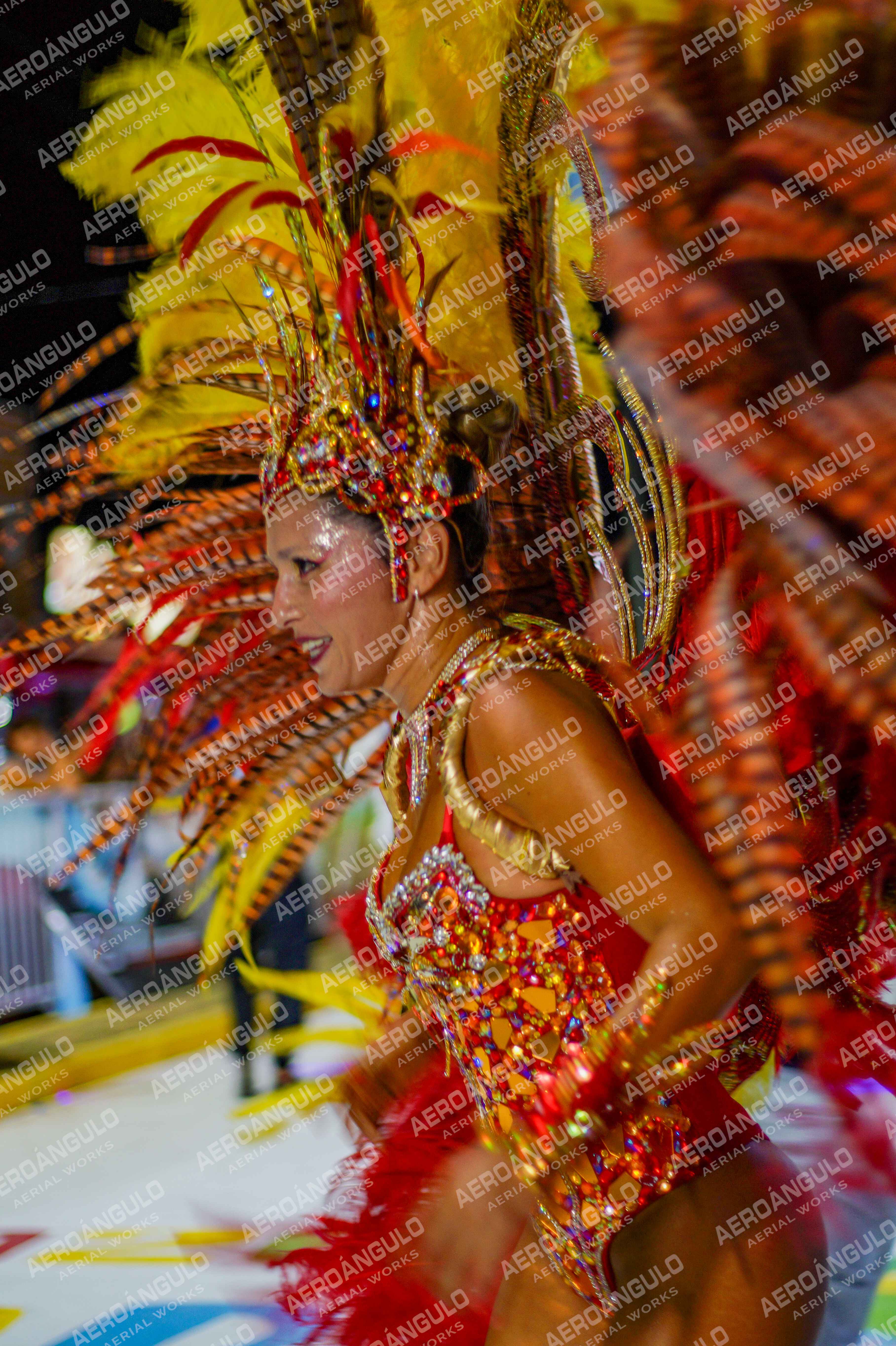 CAROCARNAVALESDIA1 N°250