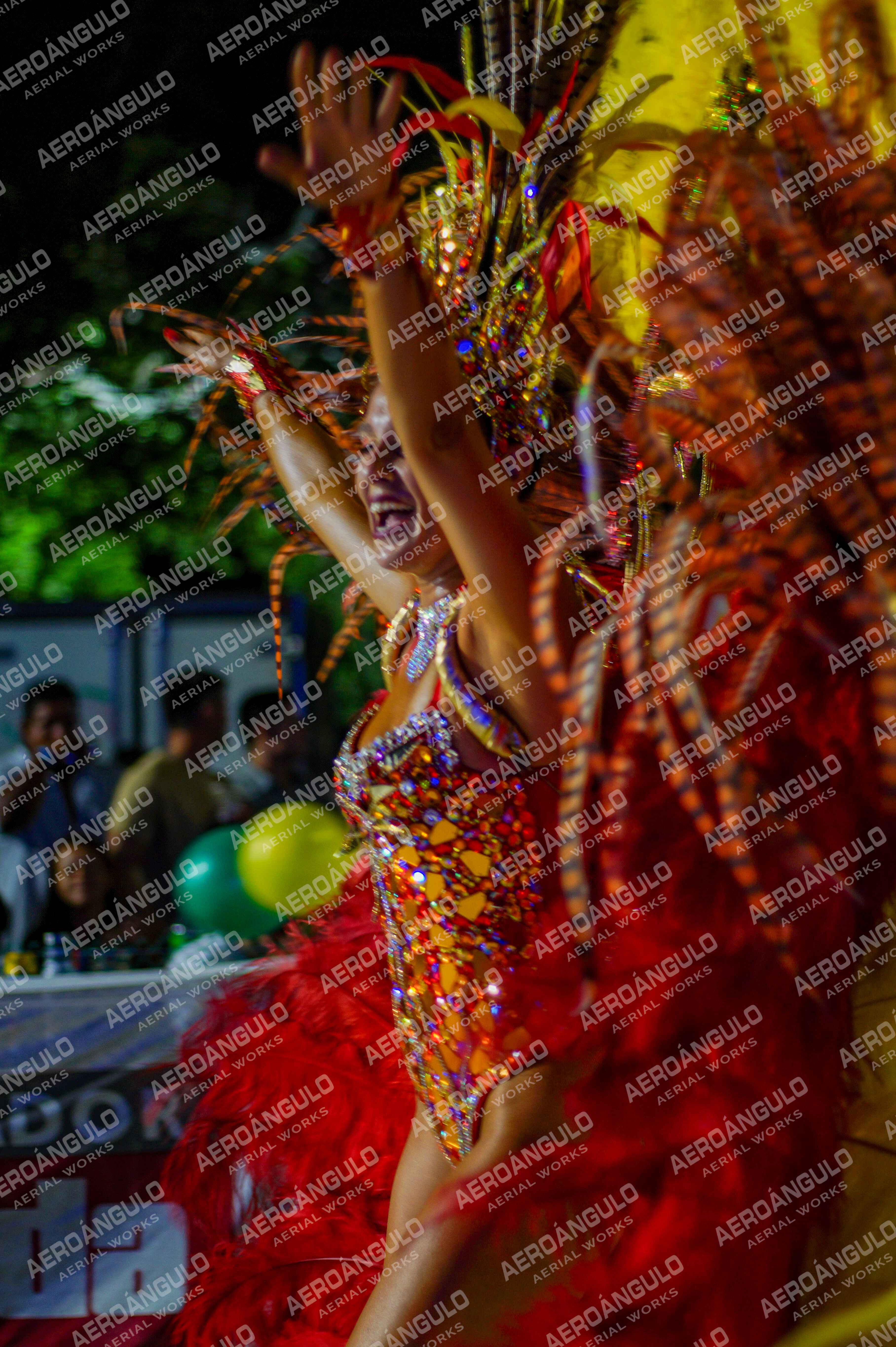 CAROCARNAVALESDIA1 N°251