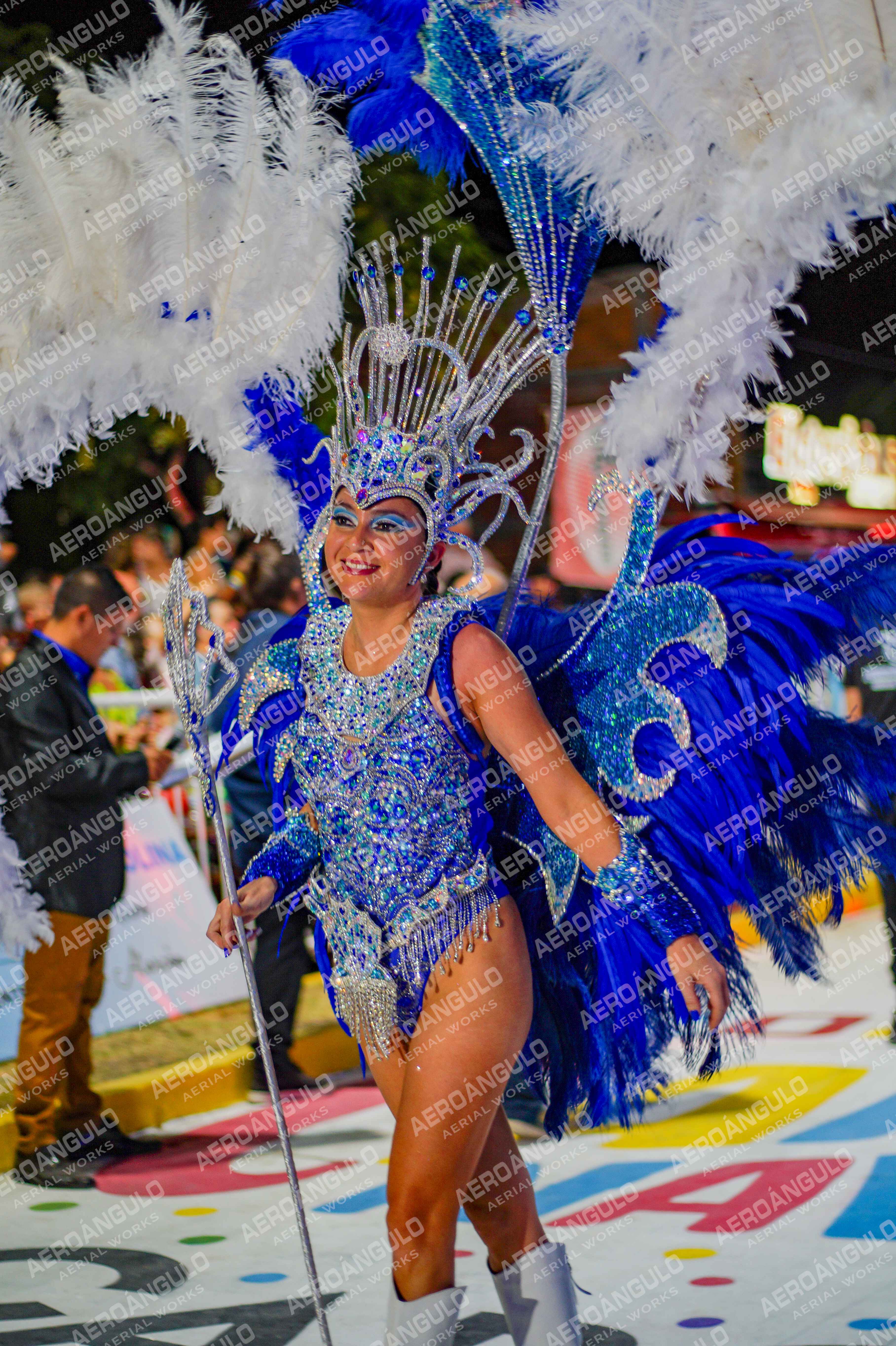 CAROCARNAVALESDIA1 N°253