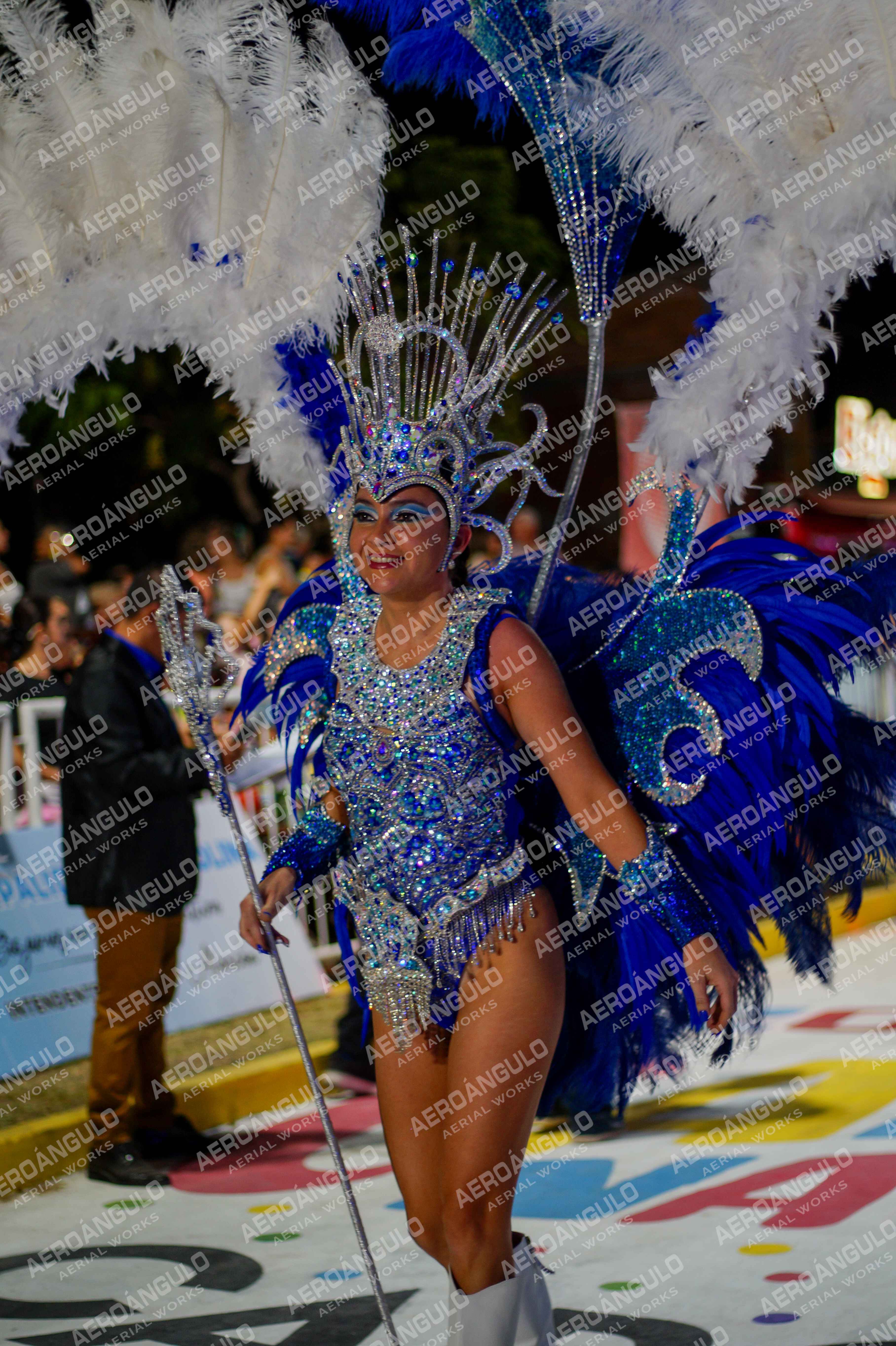 CAROCARNAVALESDIA1 N°254