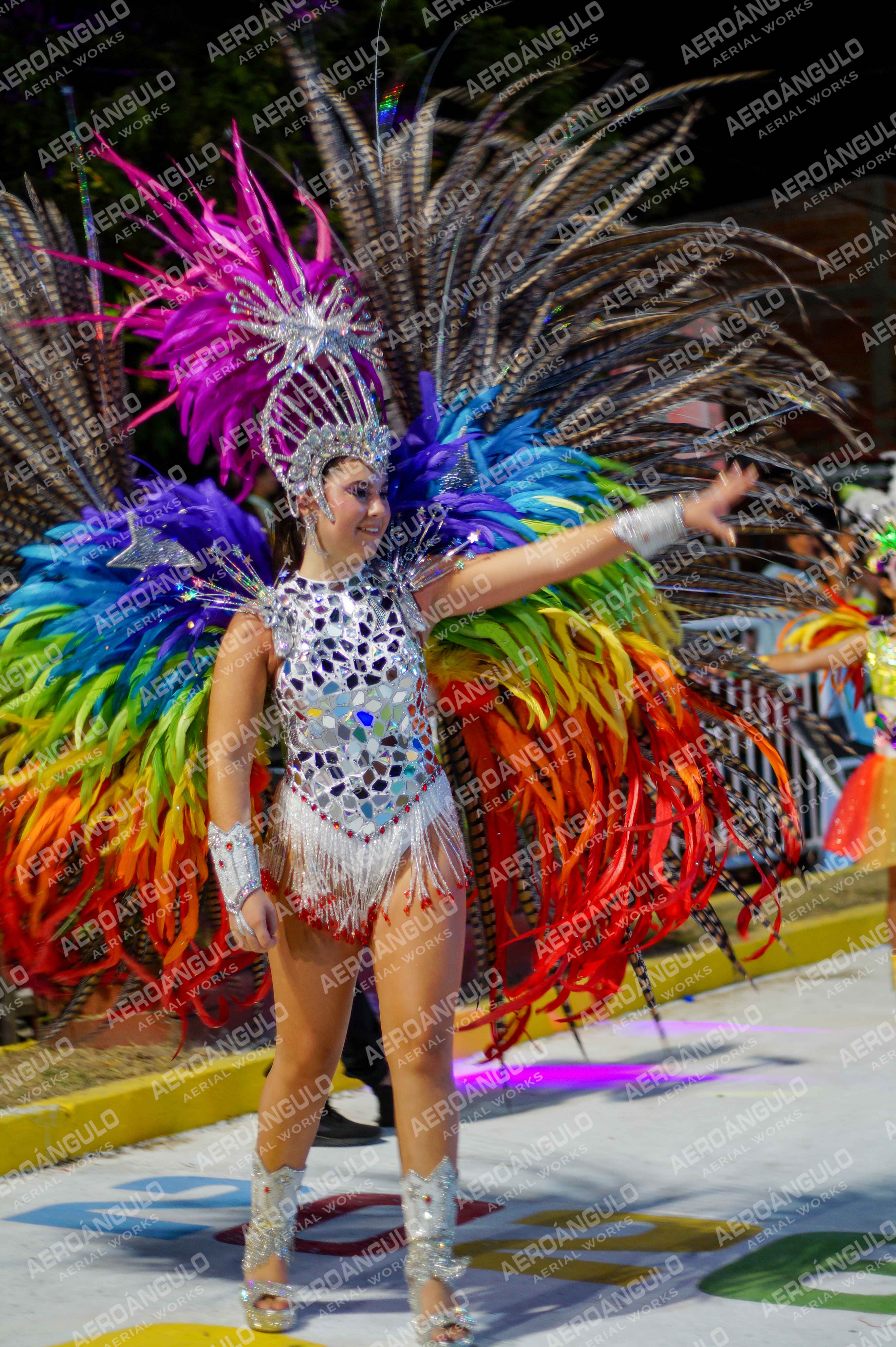 CAROCARNAVALESDIA1 N°258