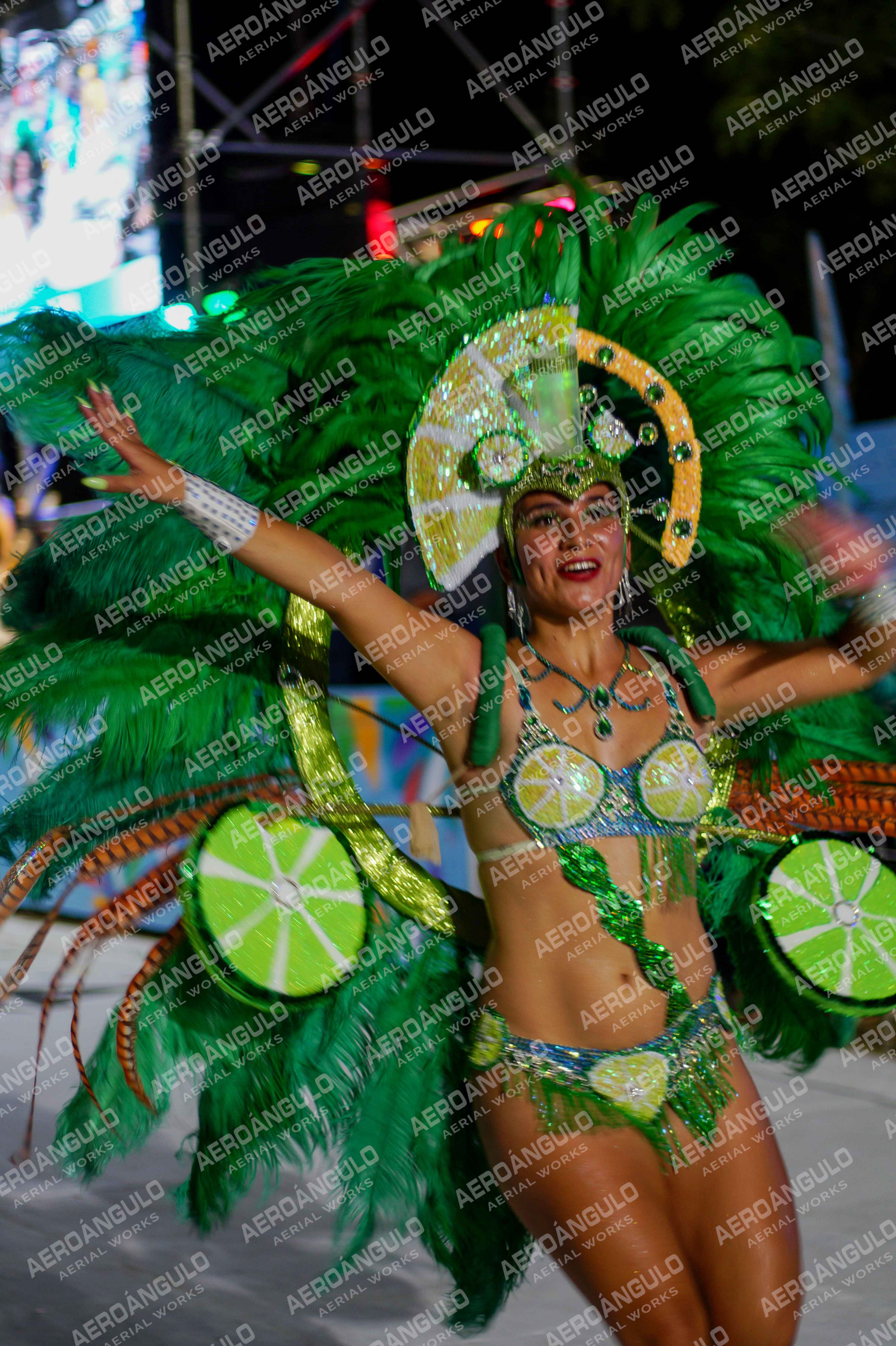 CAROCARNAVALESDIA1 N°263