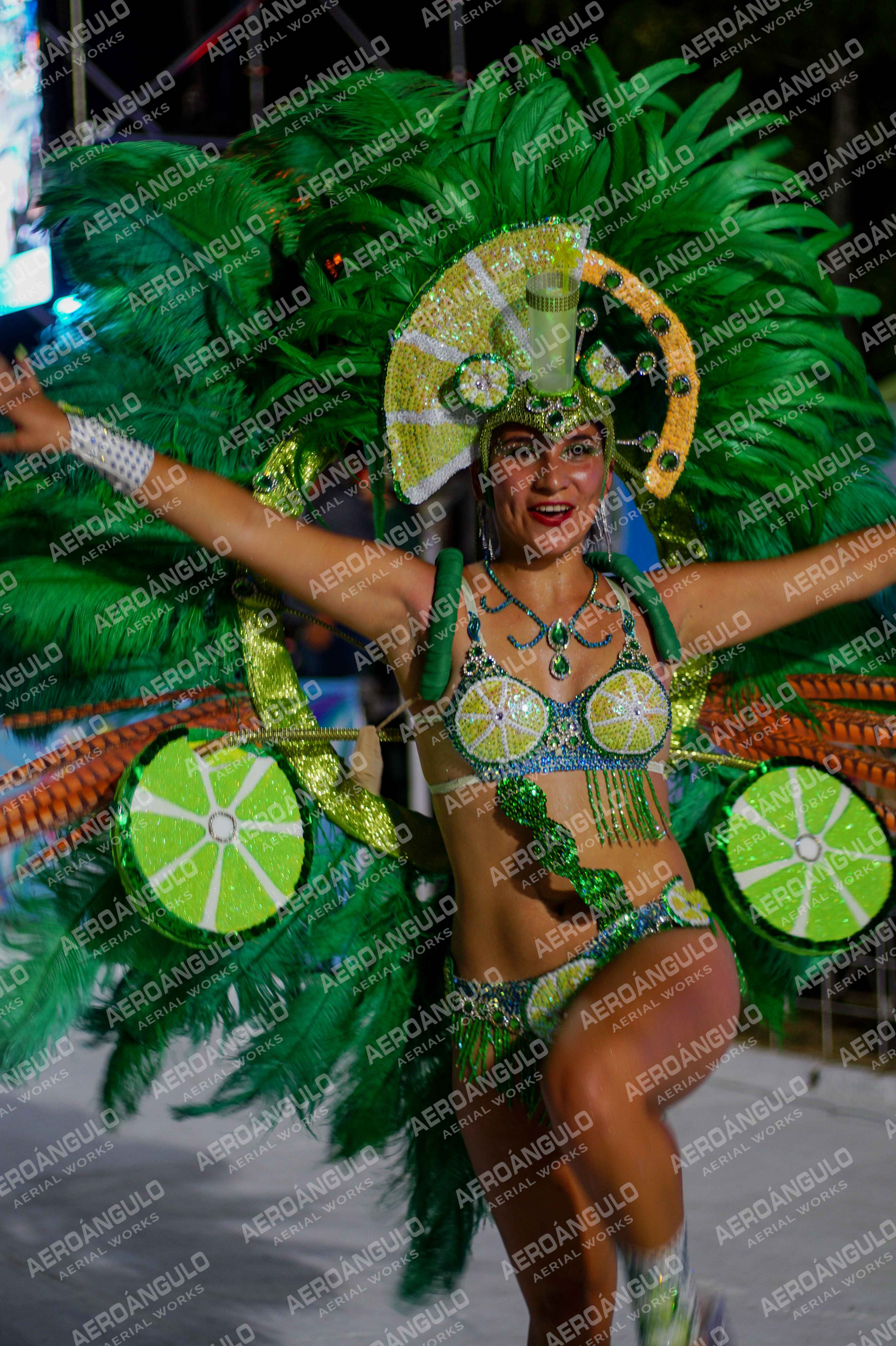 CAROCARNAVALESDIA1 N°264