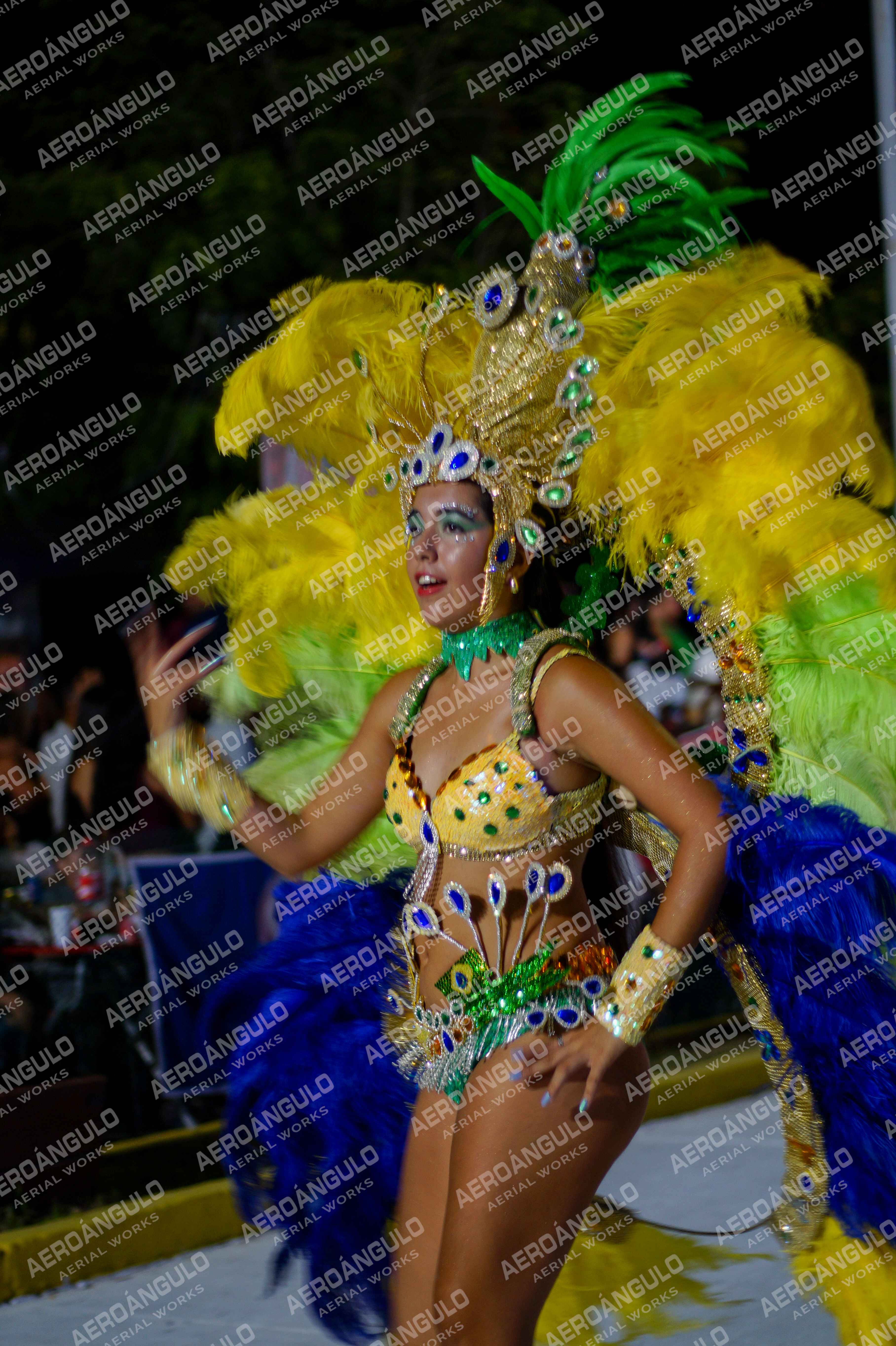 CAROCARNAVALESDIA1 N°266