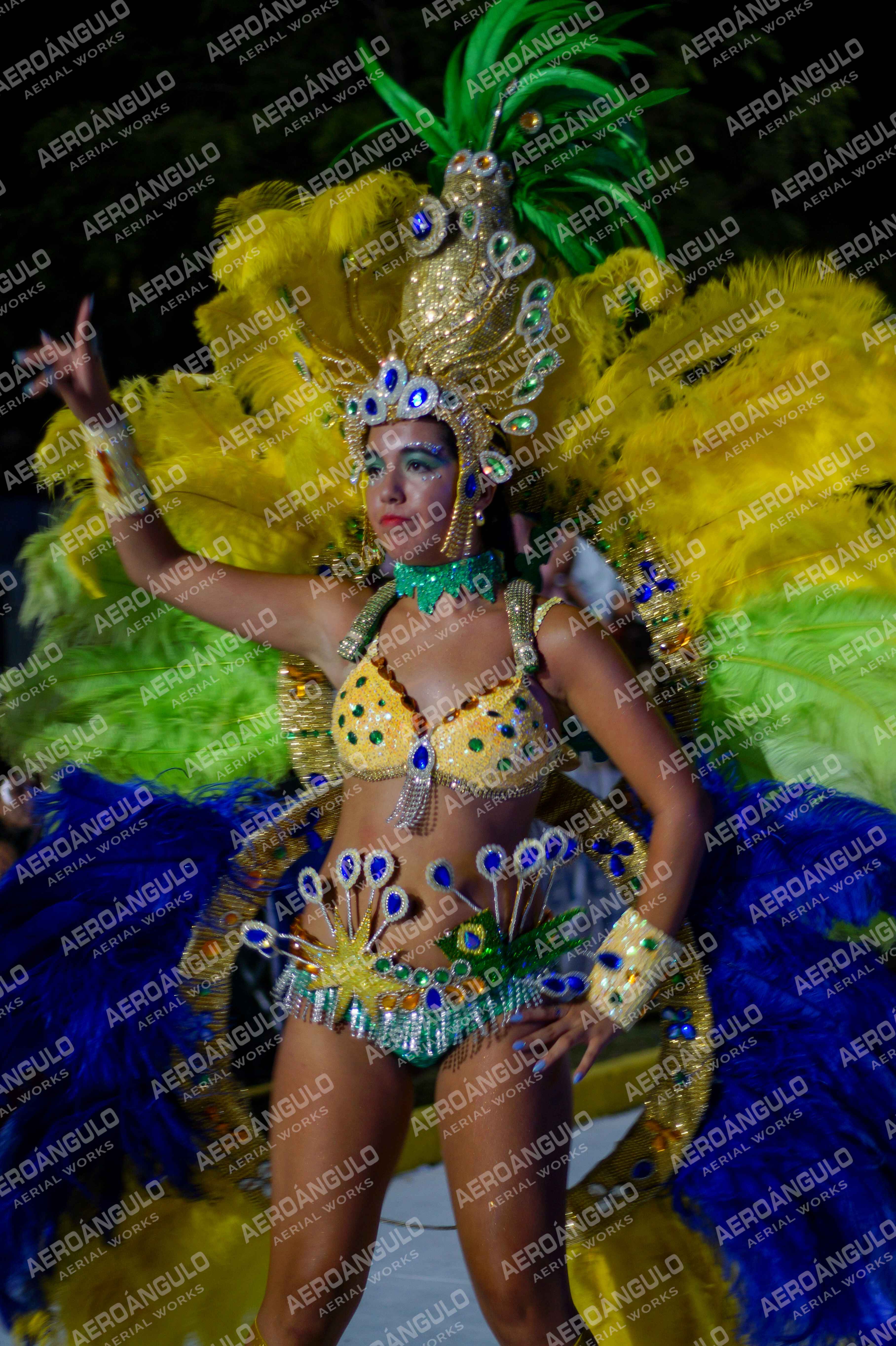 CAROCARNAVALESDIA1 N°267