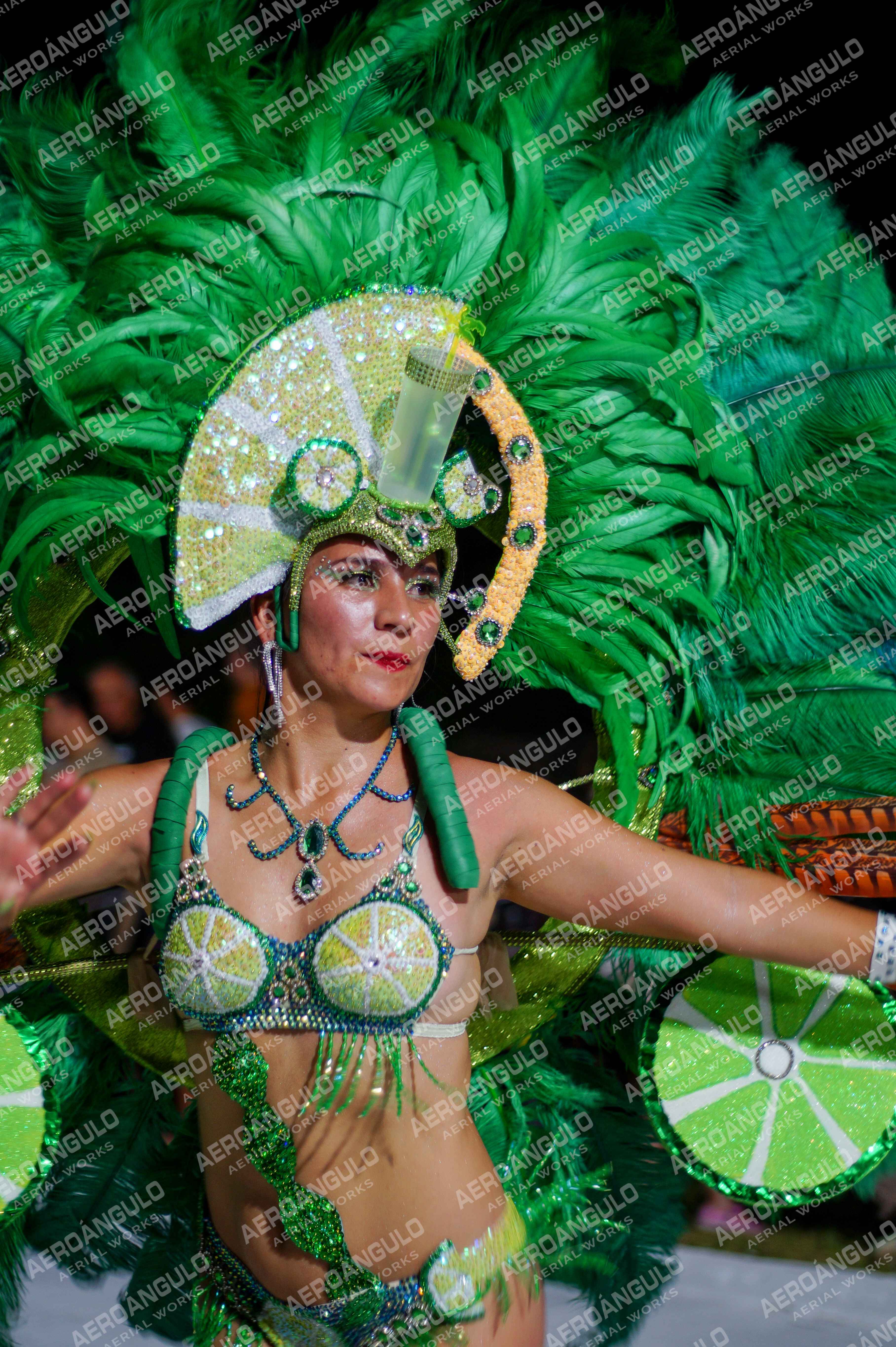 CAROCARNAVALESDIA1 N°268