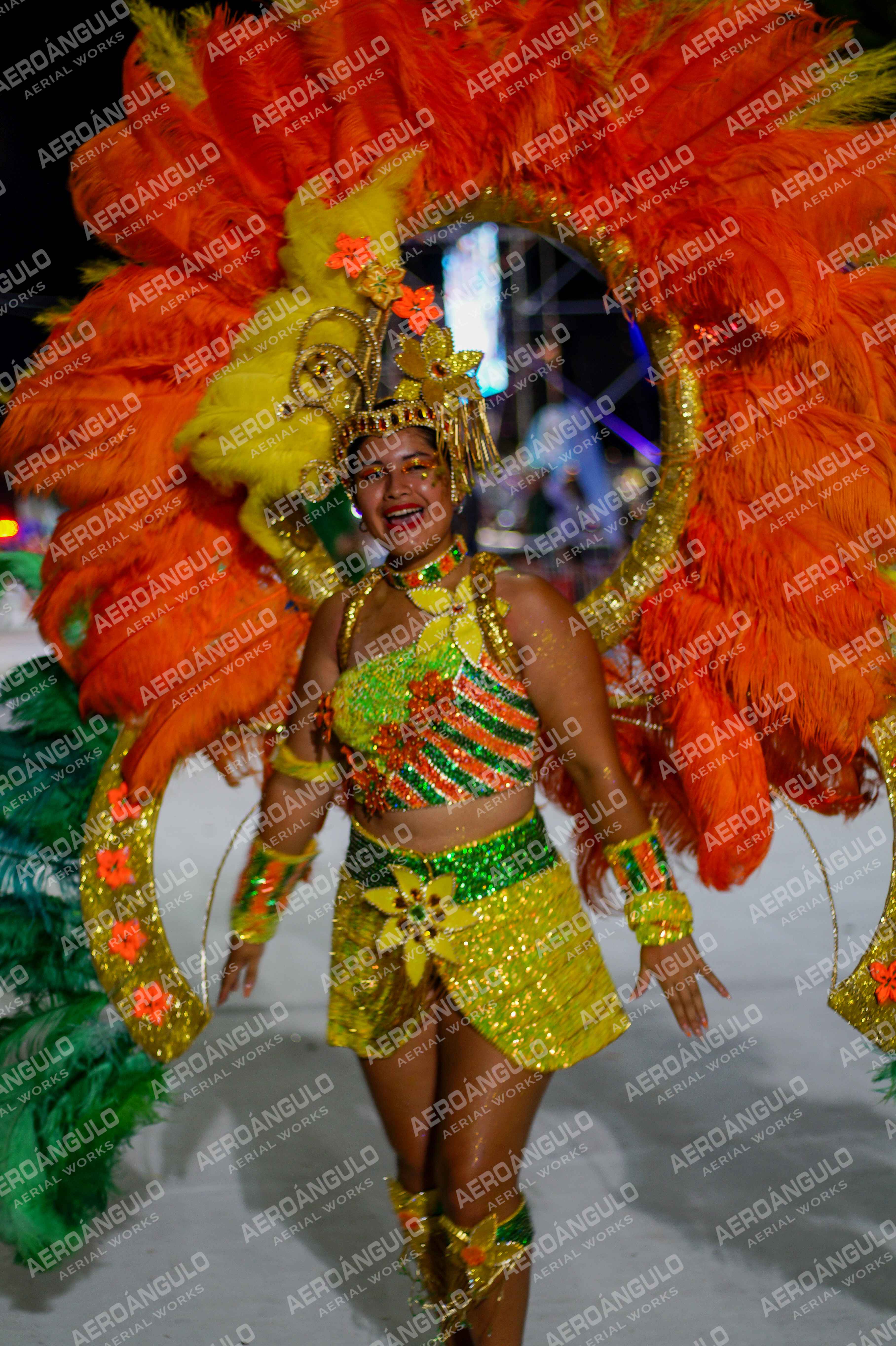 CAROCARNAVALESDIA1 N°271