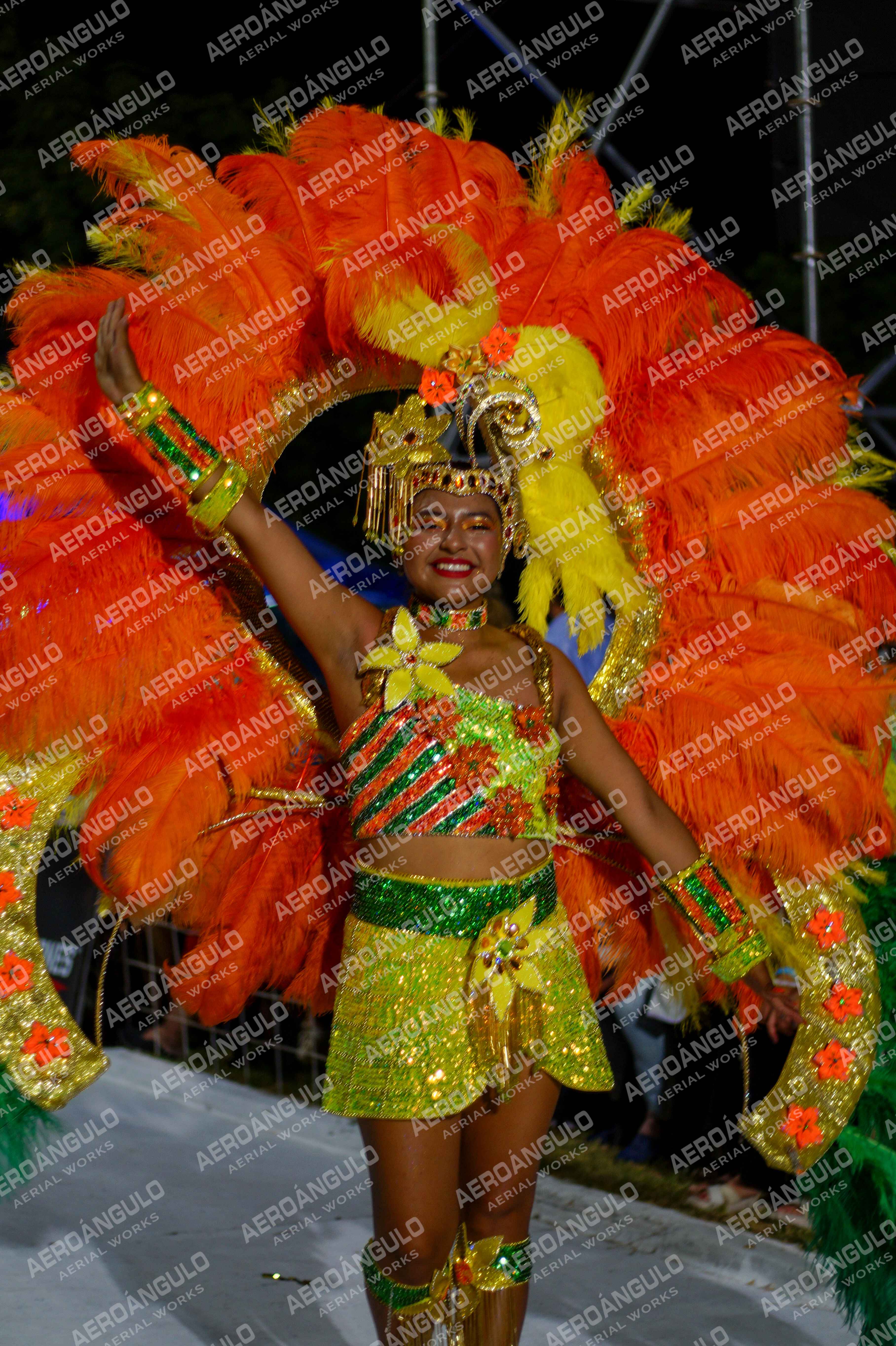 CAROCARNAVALESDIA1 N°273