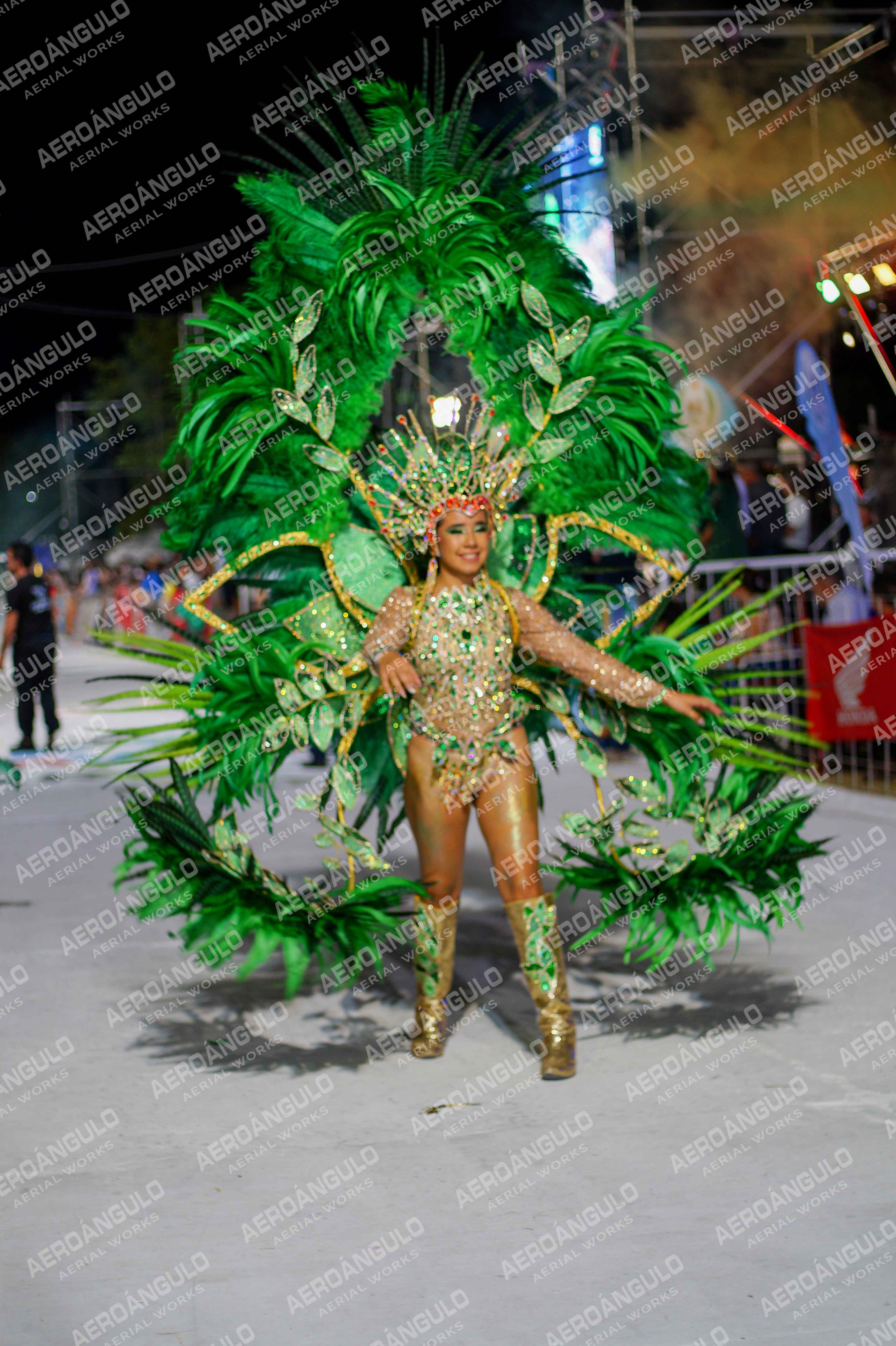CAROCARNAVALESDIA1 N°274