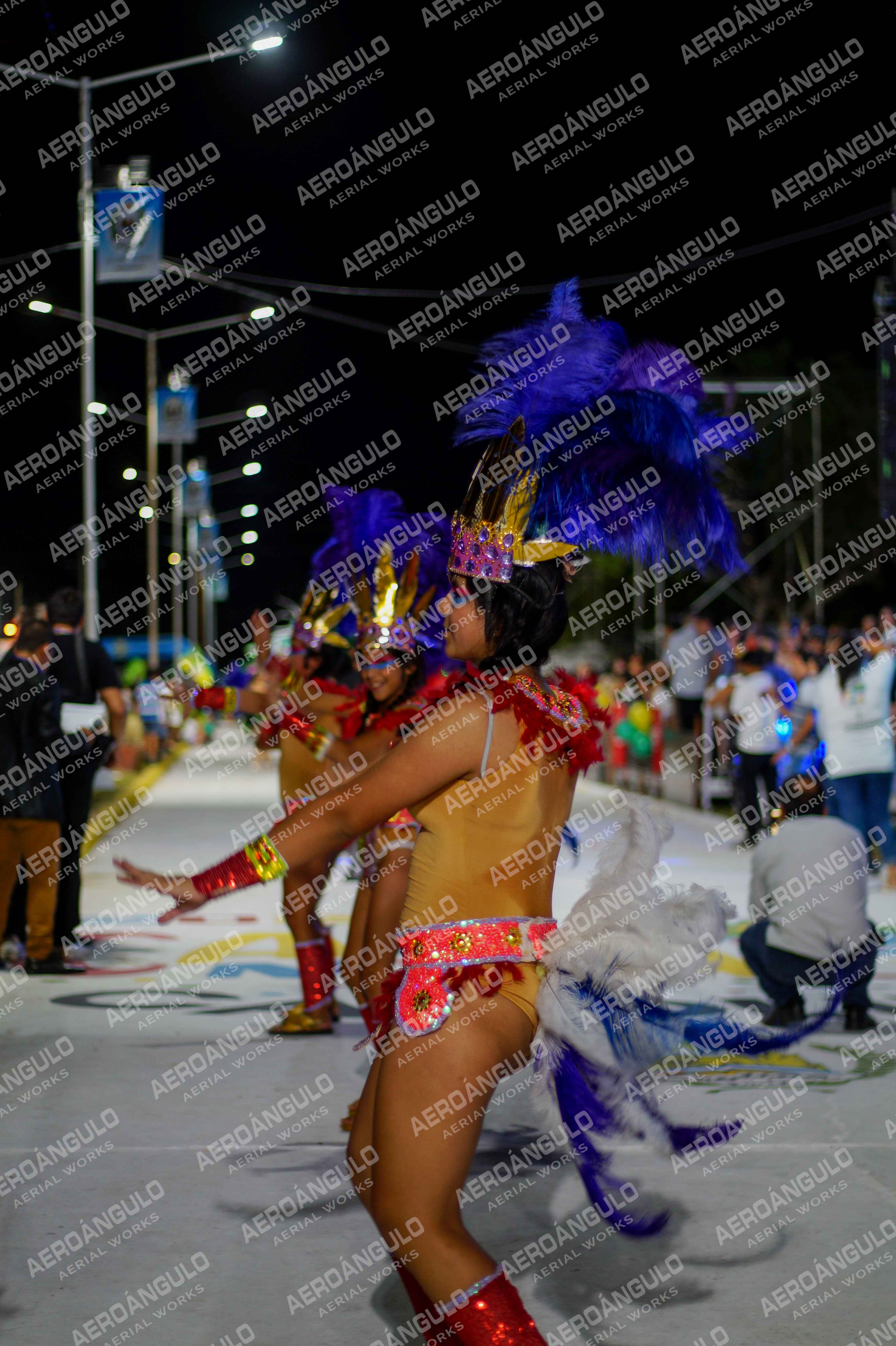 CAROCARNAVALESDIA1 N°277