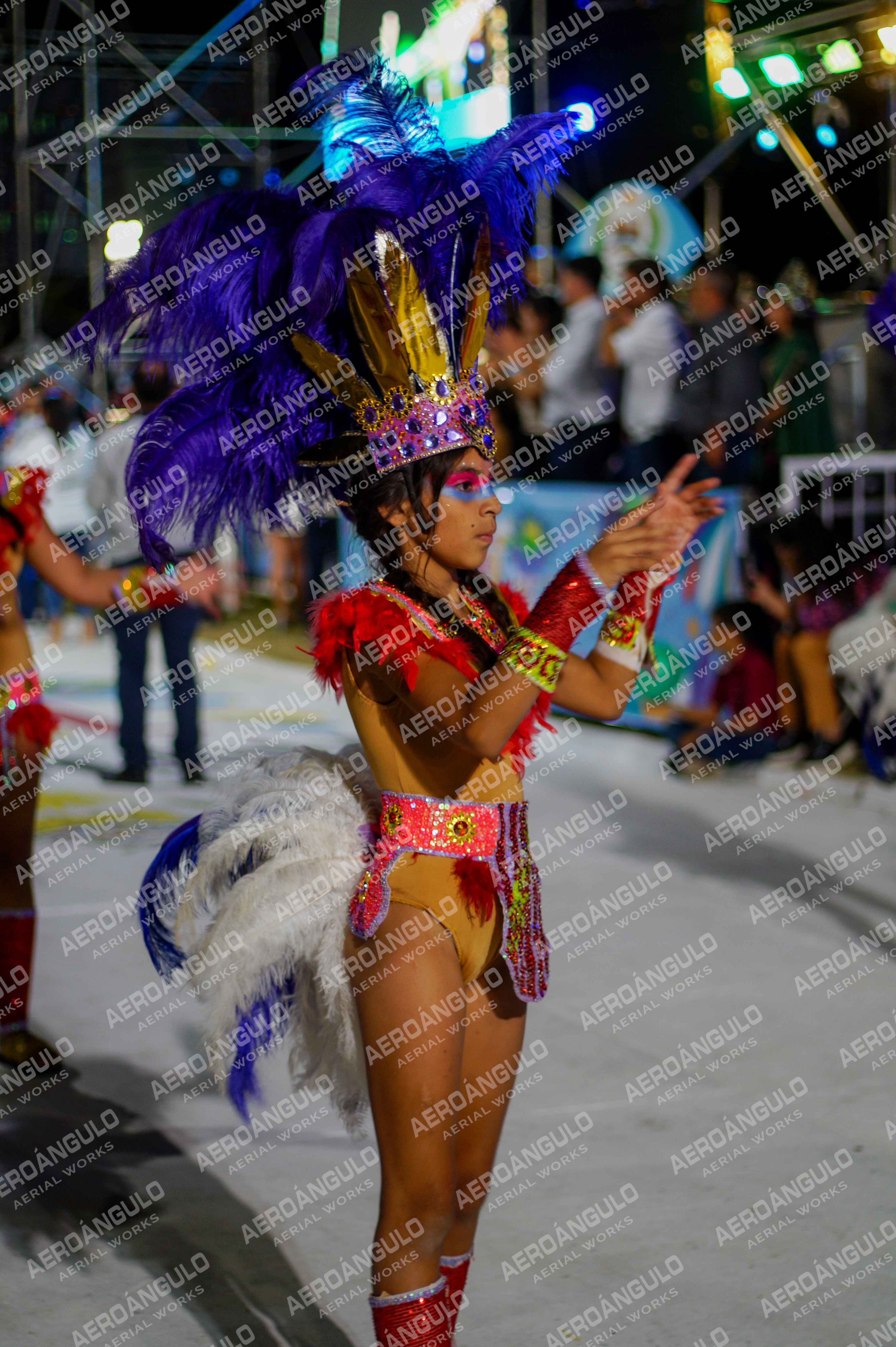 CAROCARNAVALESDIA1 N°278