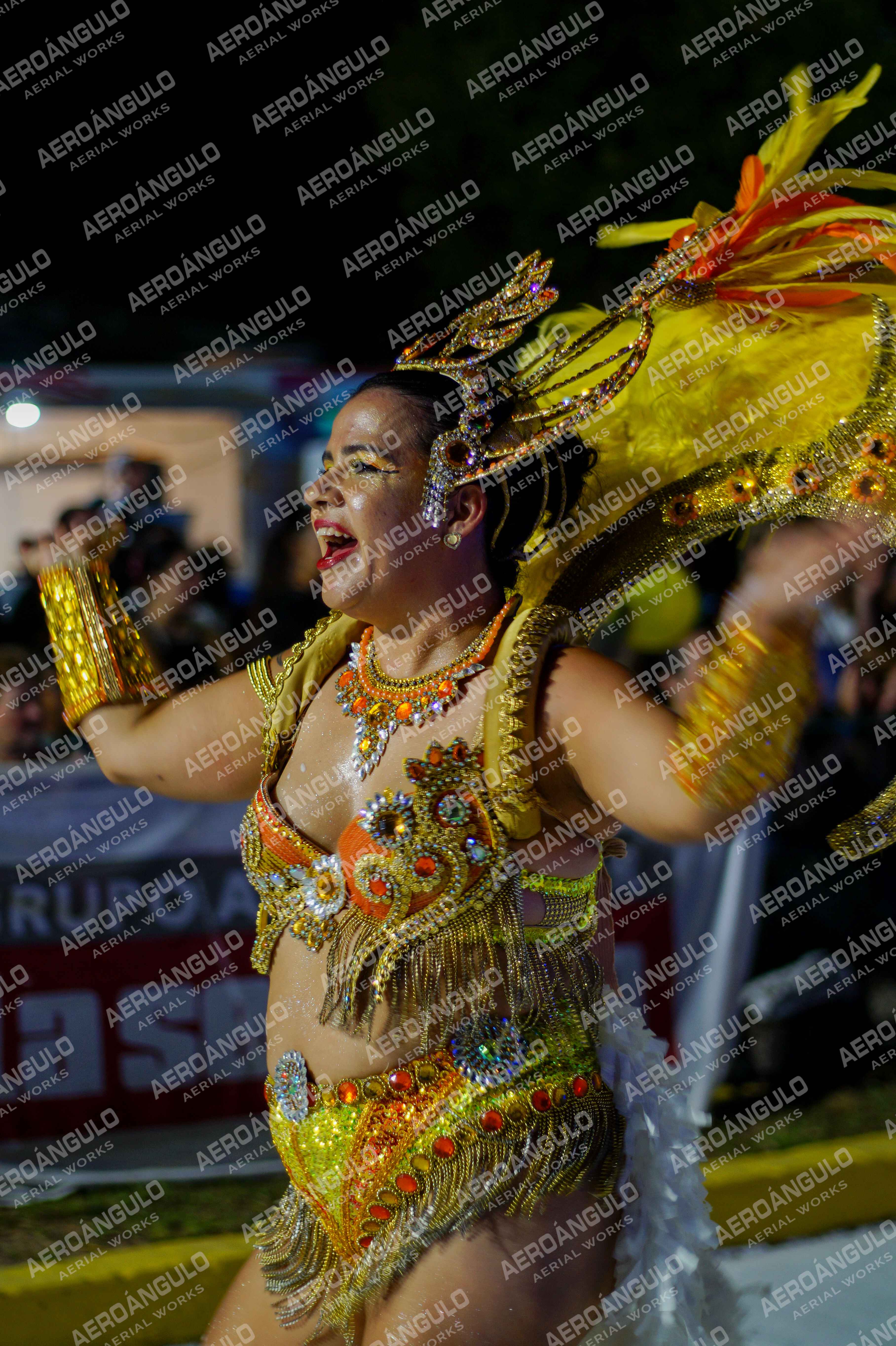 CAROCARNAVALESDIA1 N°283