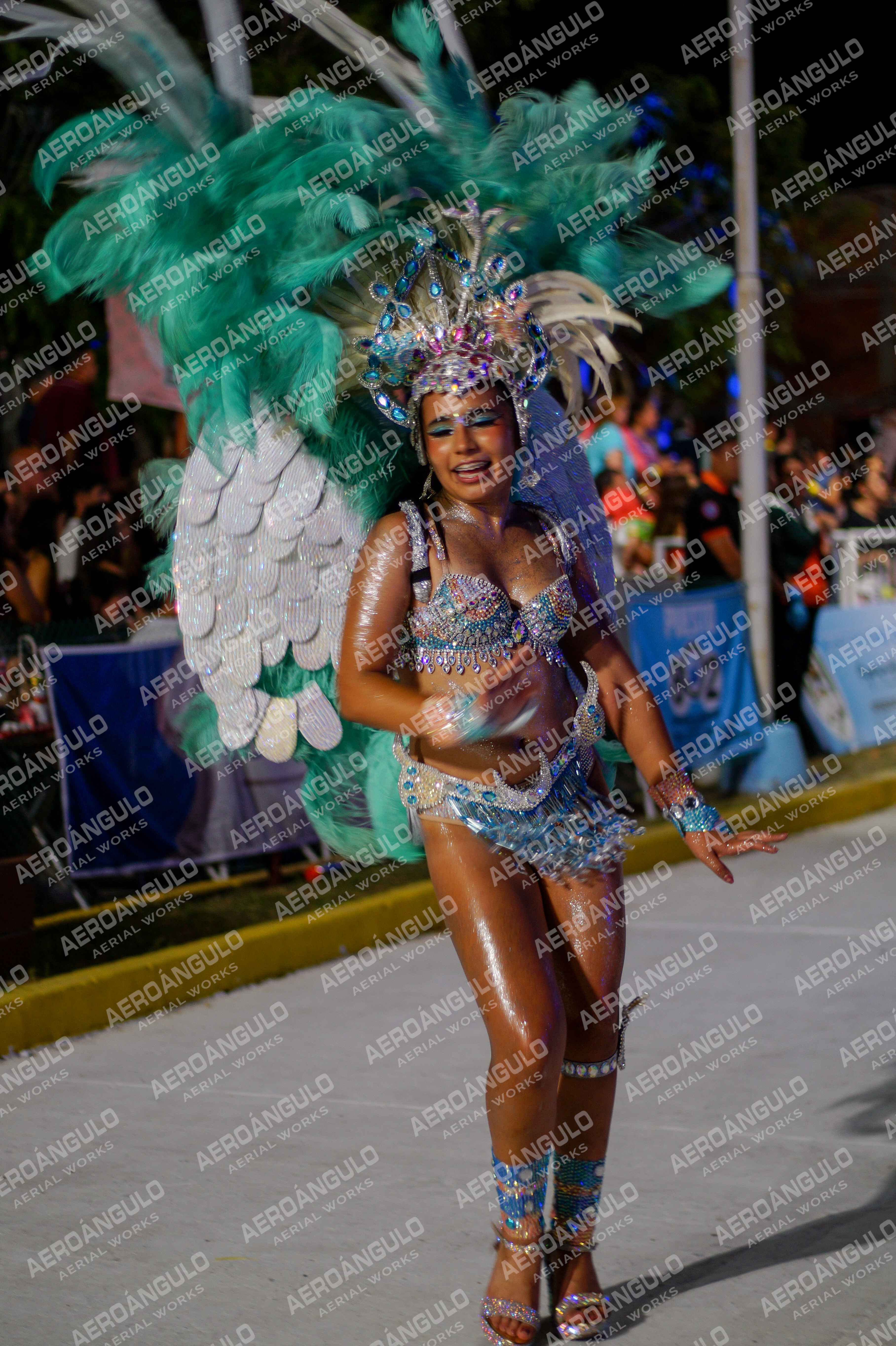 CAROCARNAVALESDIA1 N°284