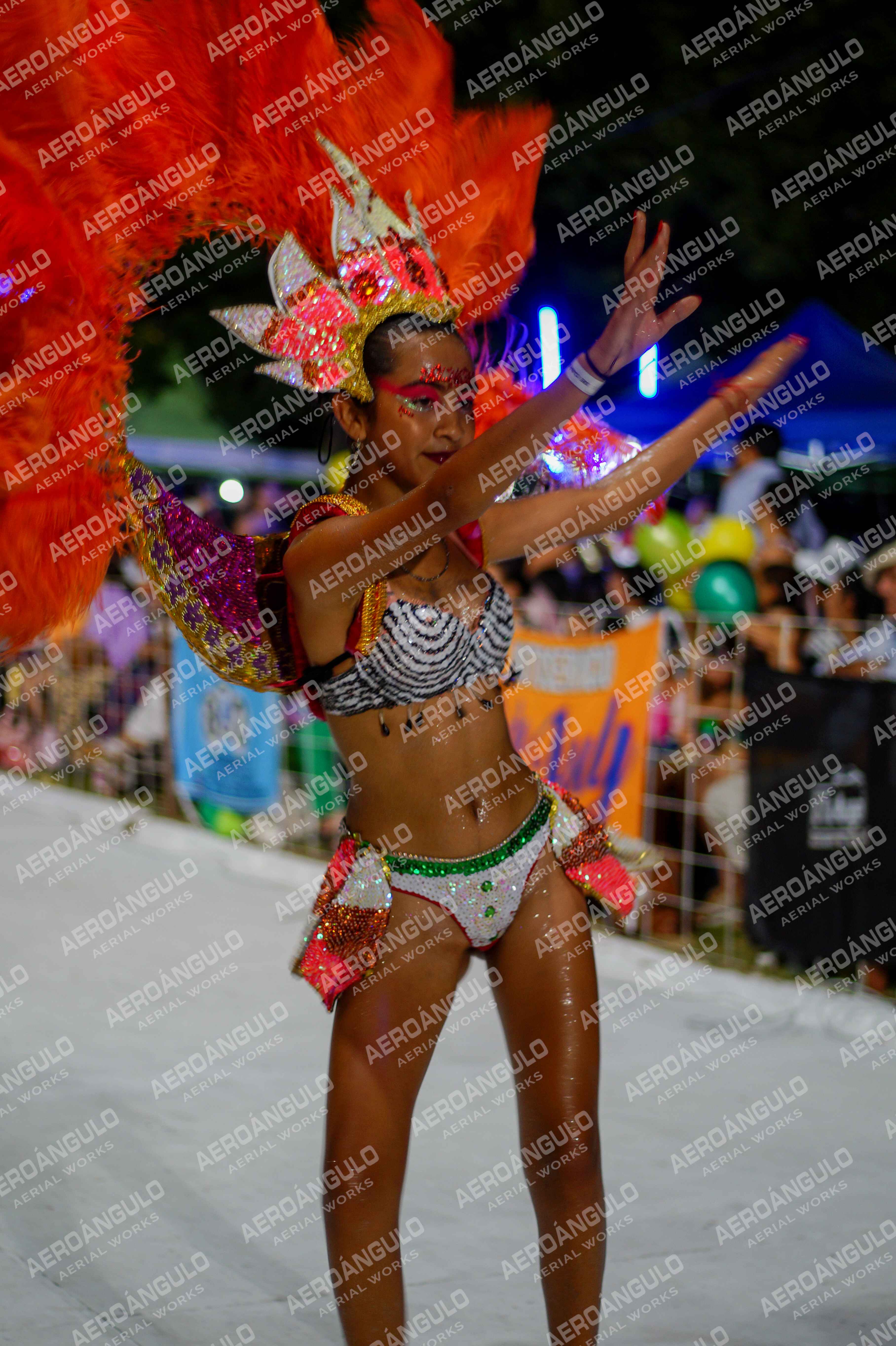 CAROCARNAVALESDIA1 N°285