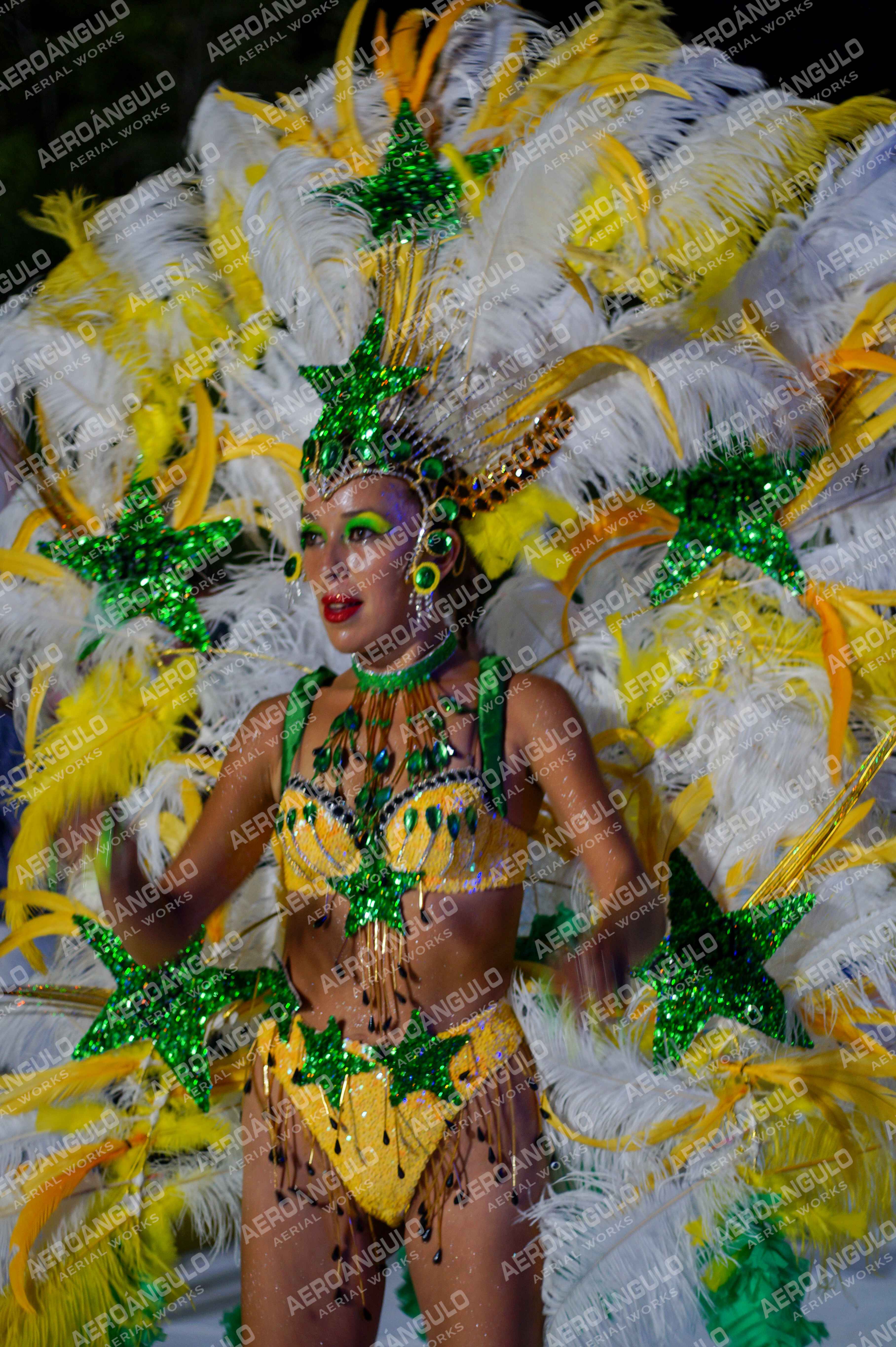 CAROCARNAVALESDIA1 N°287