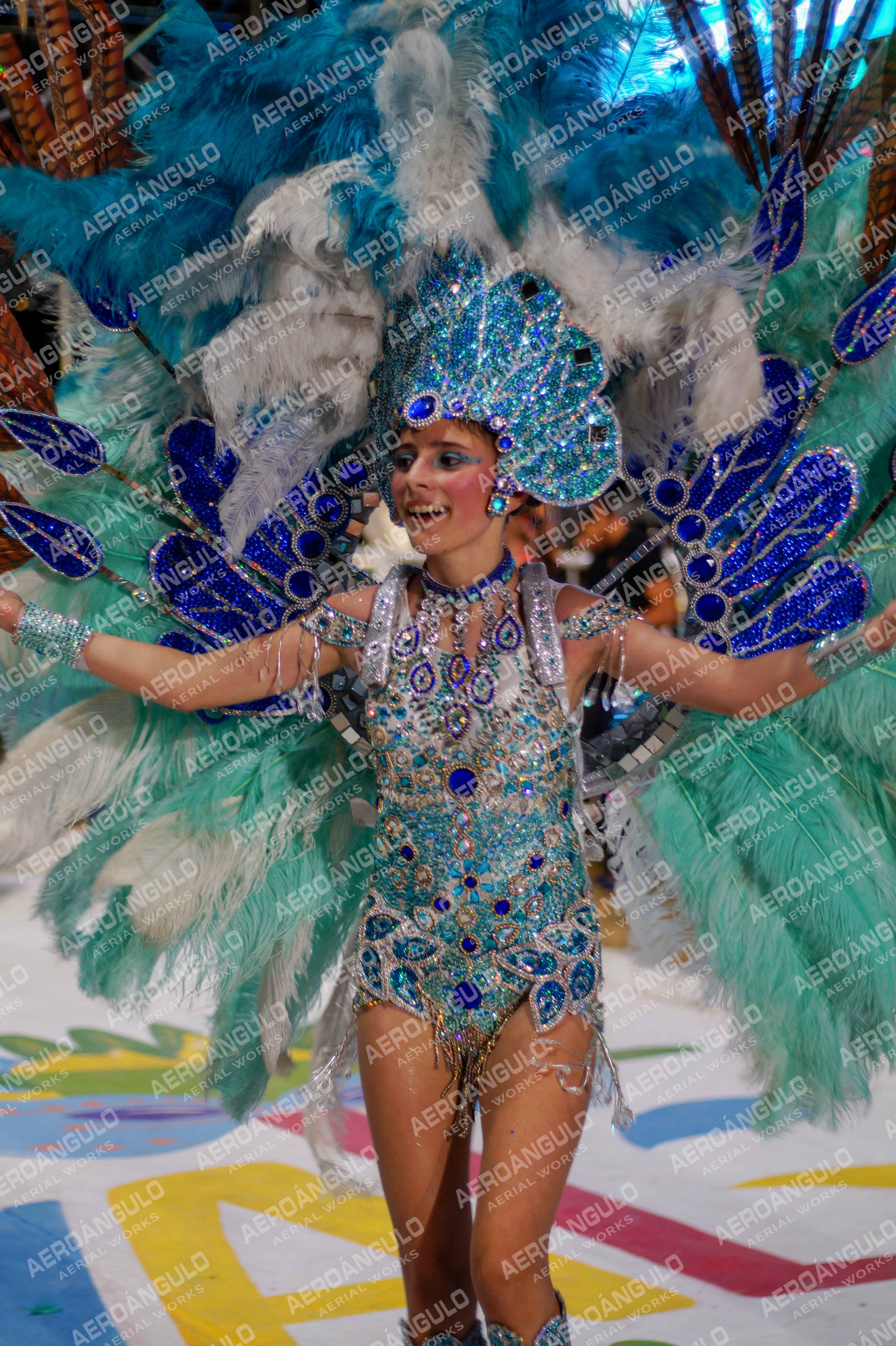 CAROCARNAVALESDIA1 N°289
