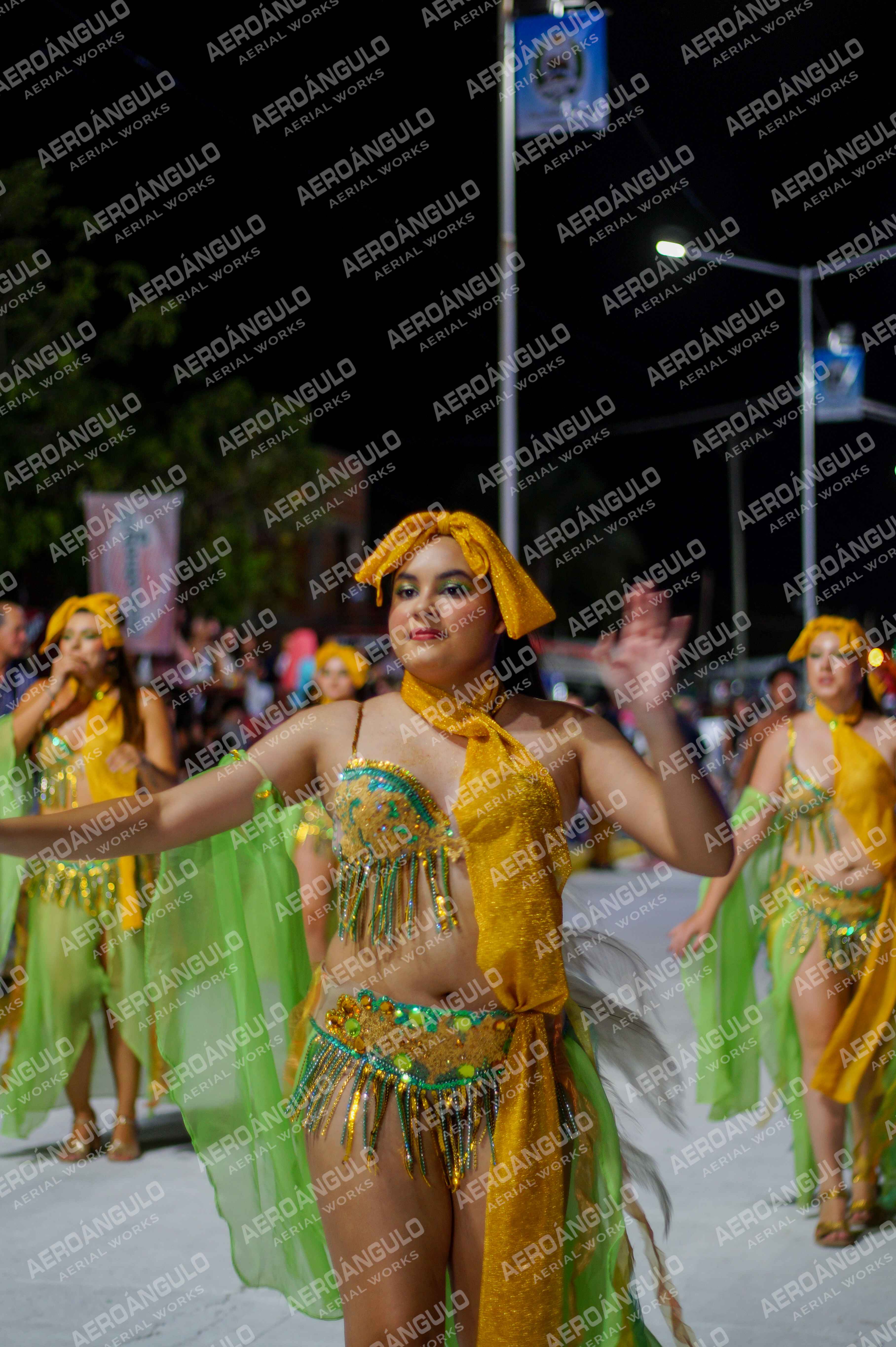 CAROCARNAVALESDIA1 N°293