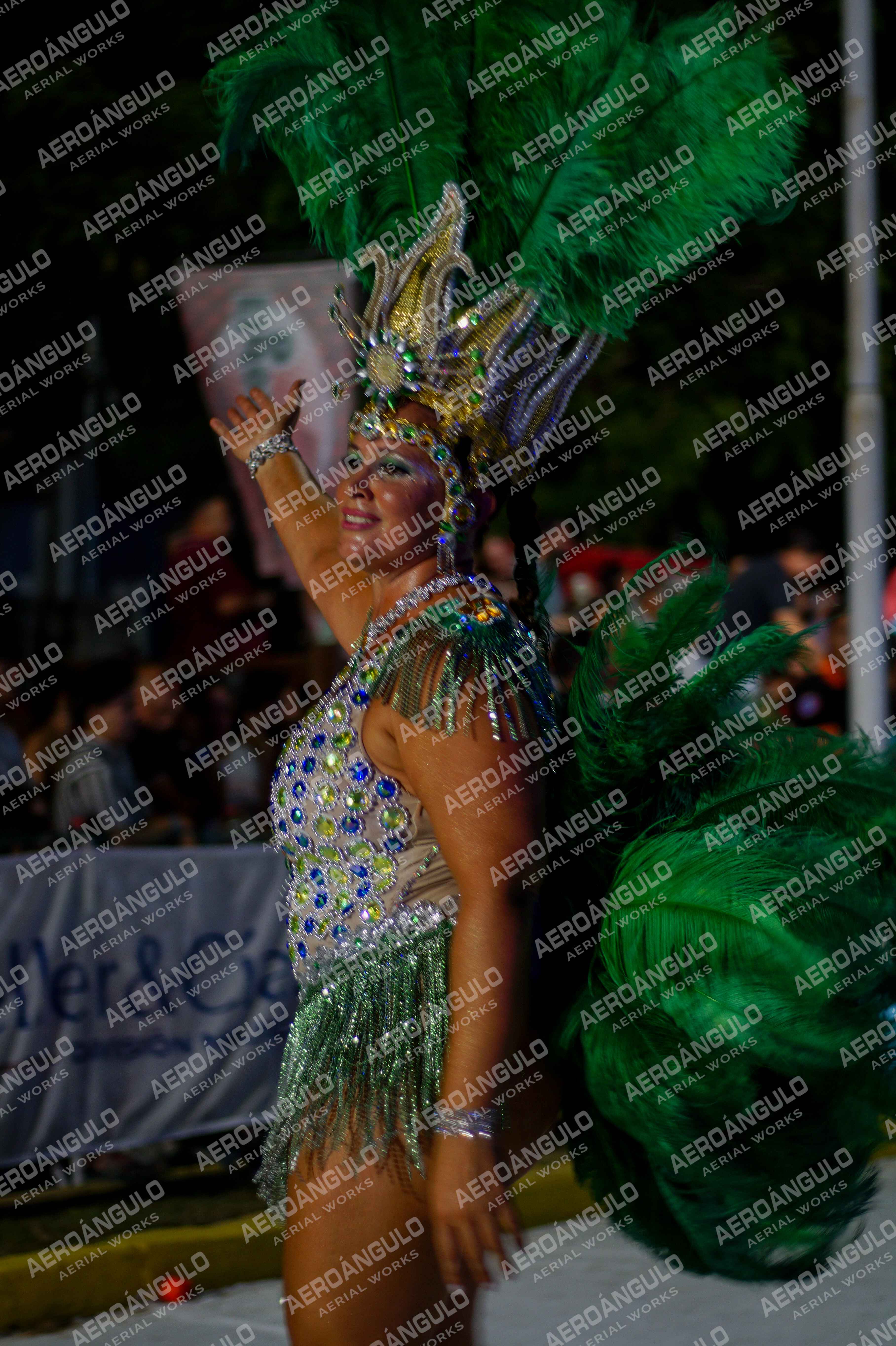 CAROCARNAVALESDIA1 N°295