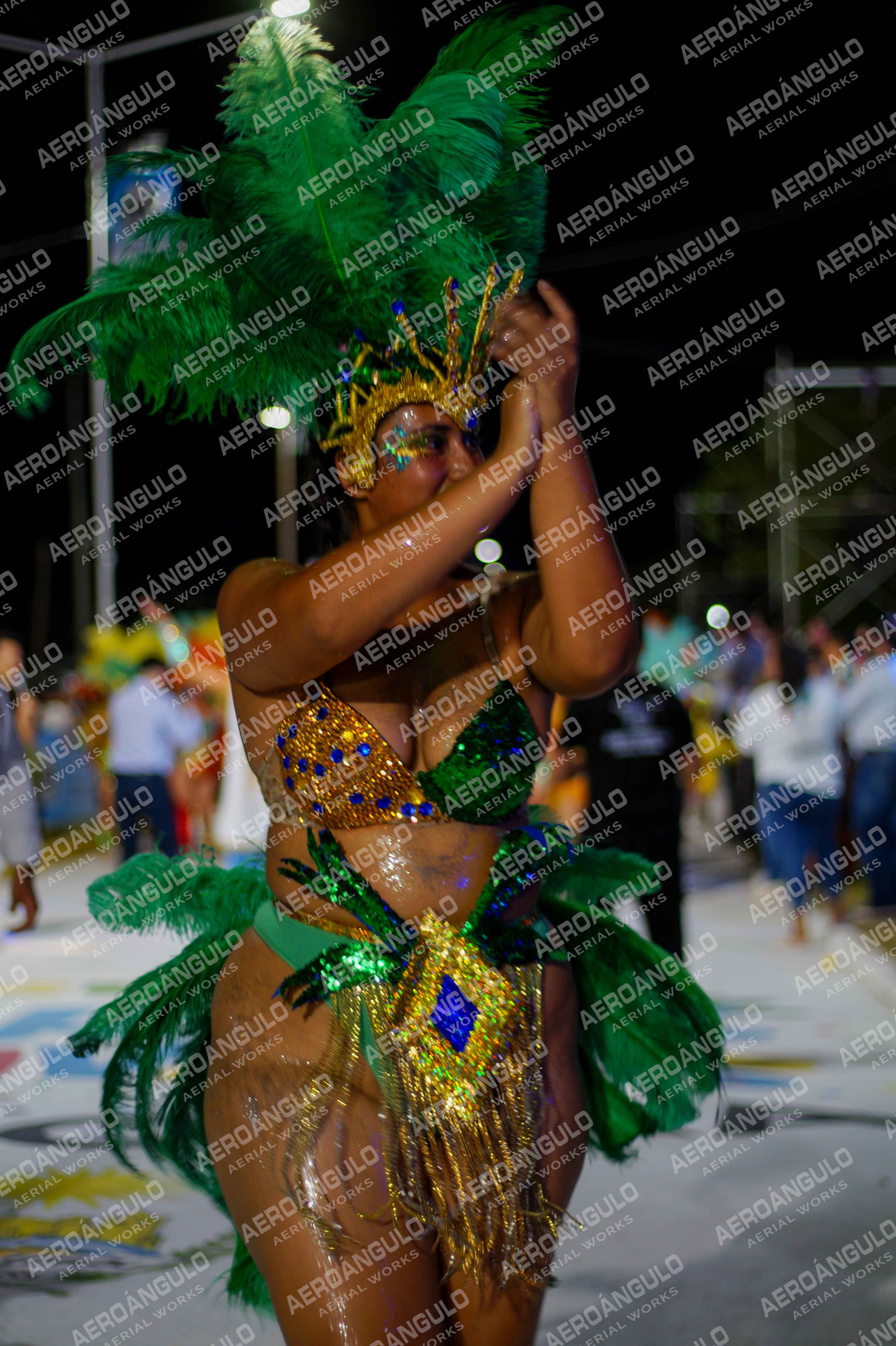 CAROCARNAVALESDIA1 N°299
