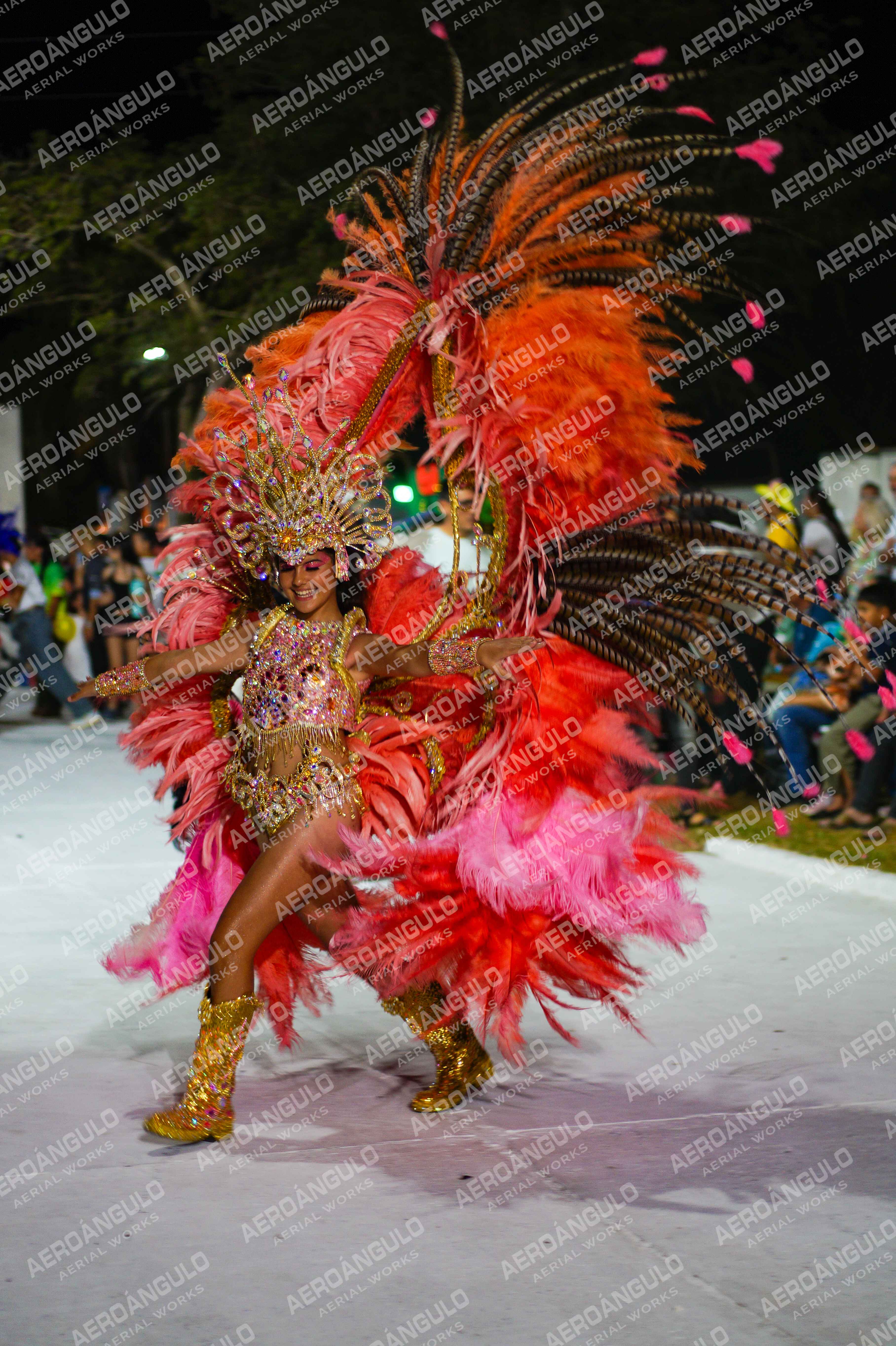 CAROCARNAVALESDIA1 N°30