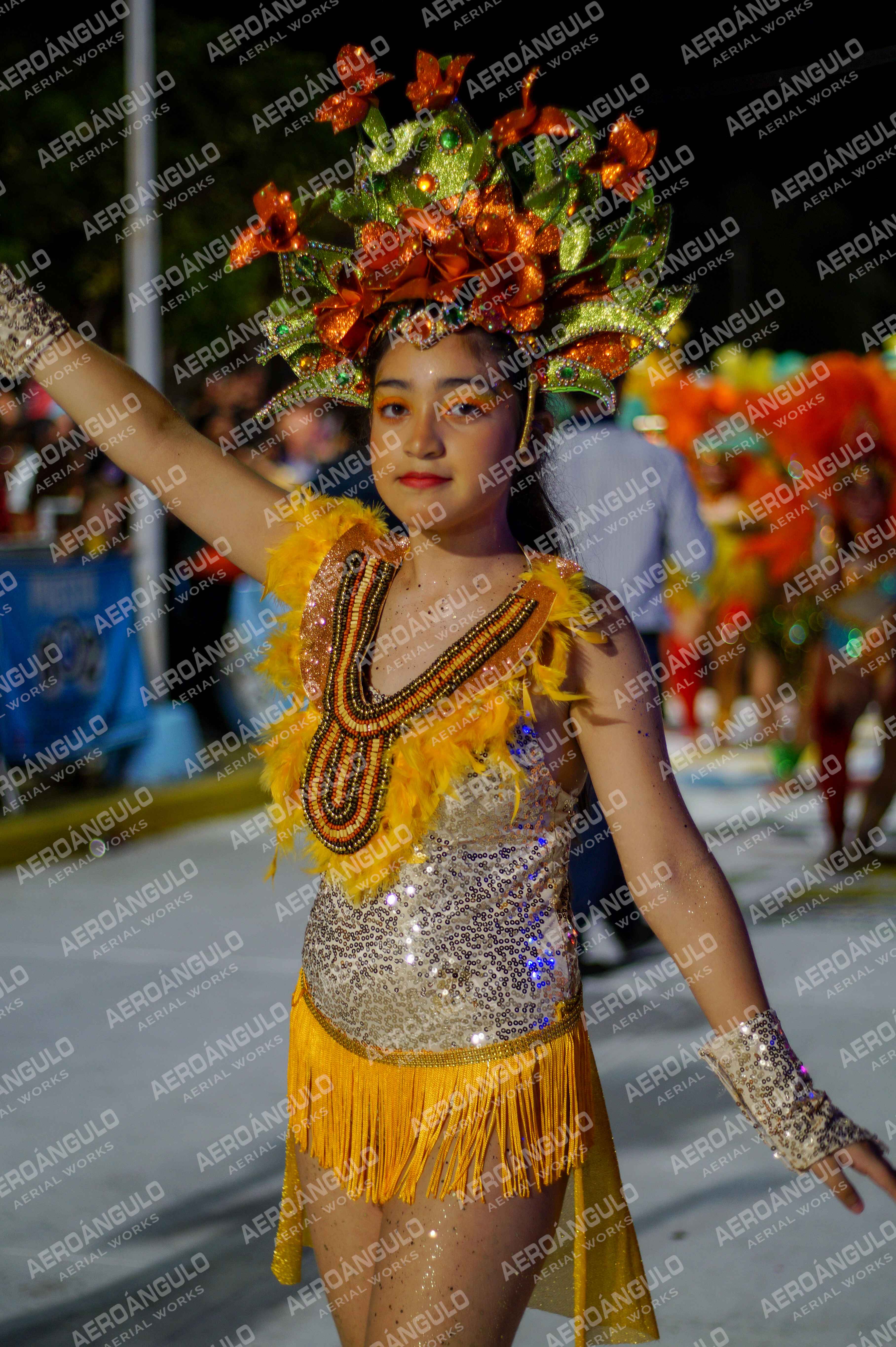 CAROCARNAVALESDIA1 N°303
