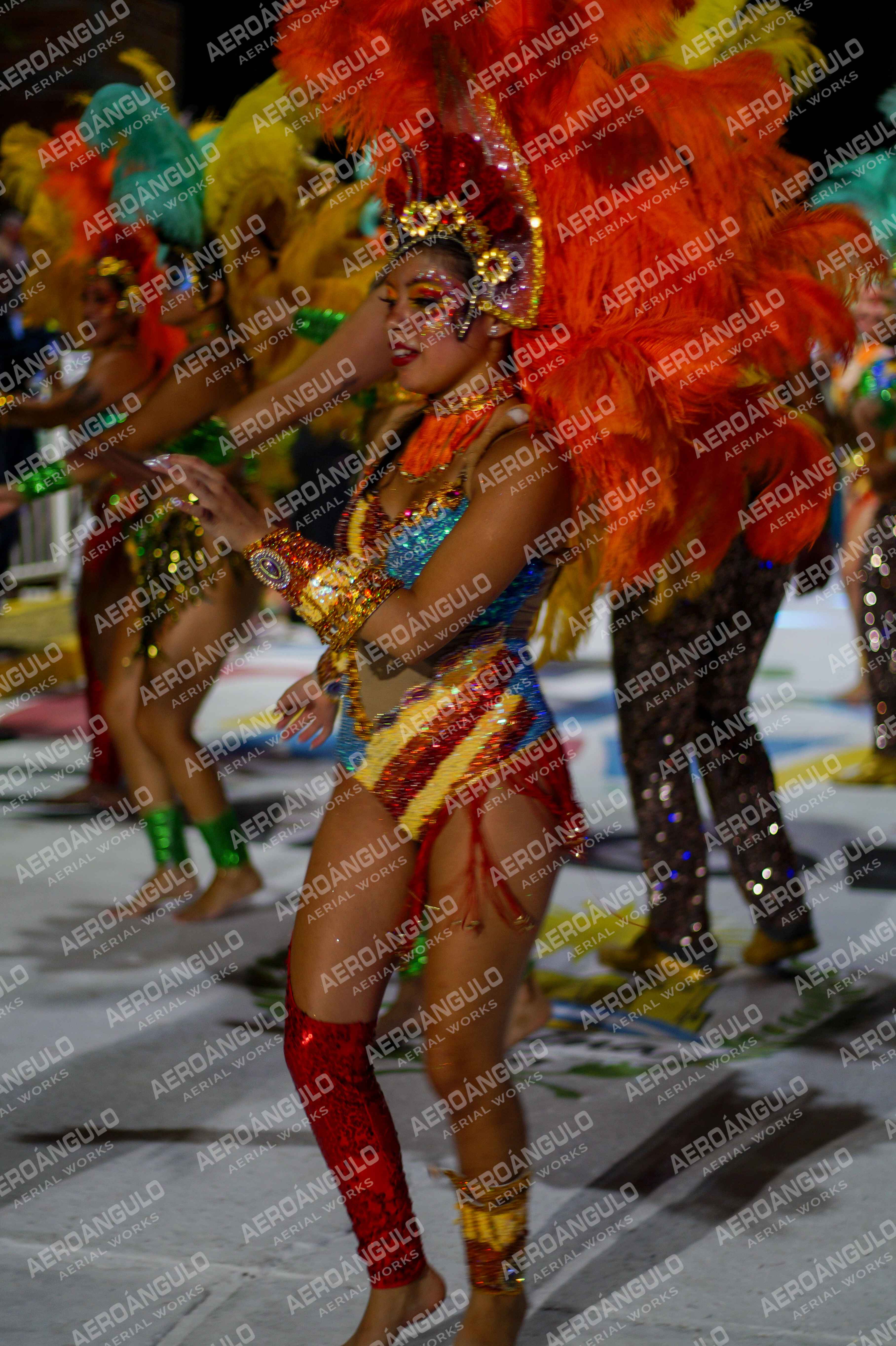 CAROCARNAVALESDIA1 N°304