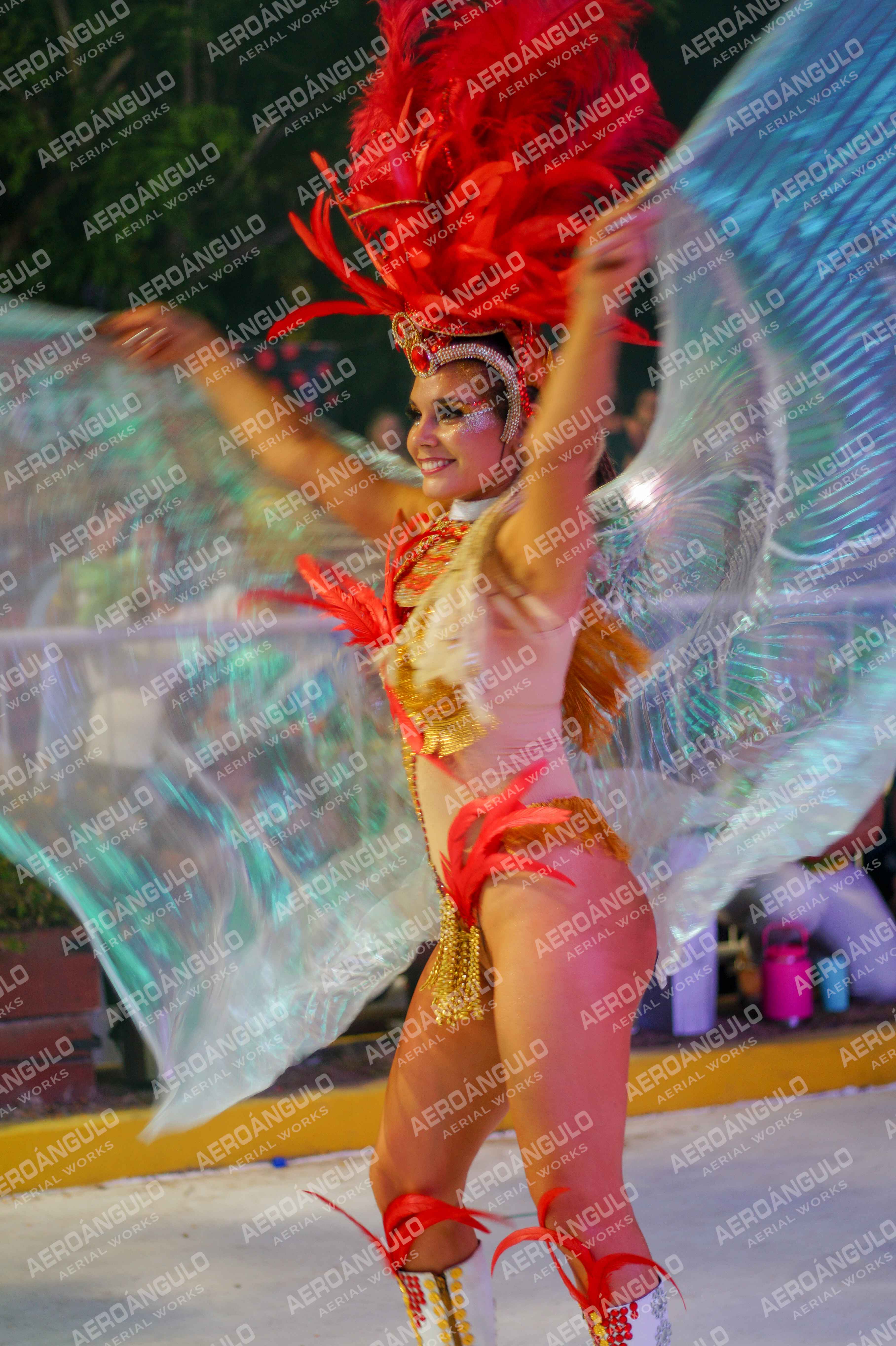 CAROCARNAVALESDIA1 N°306