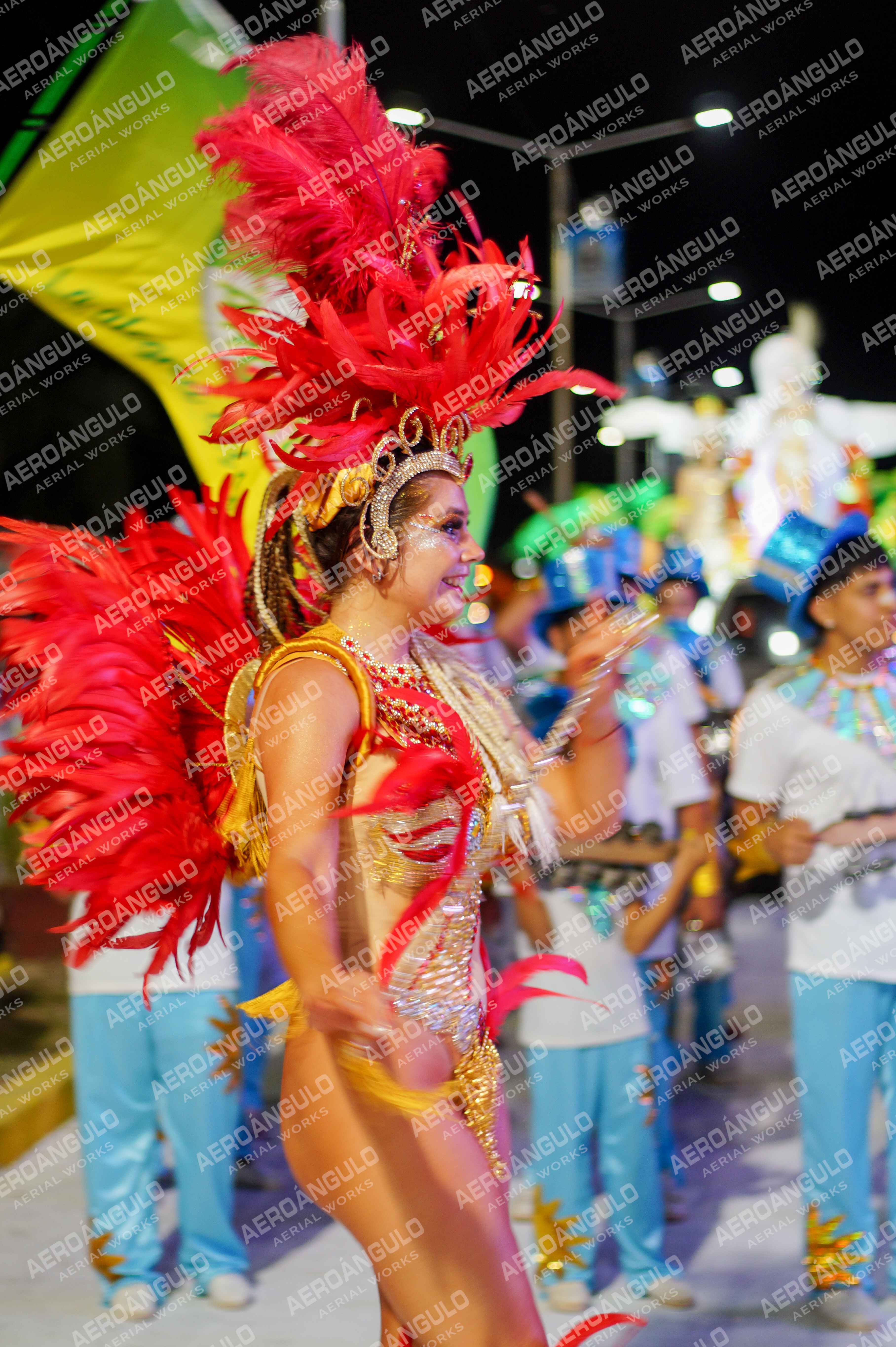 CAROCARNAVALESDIA1 N°310
