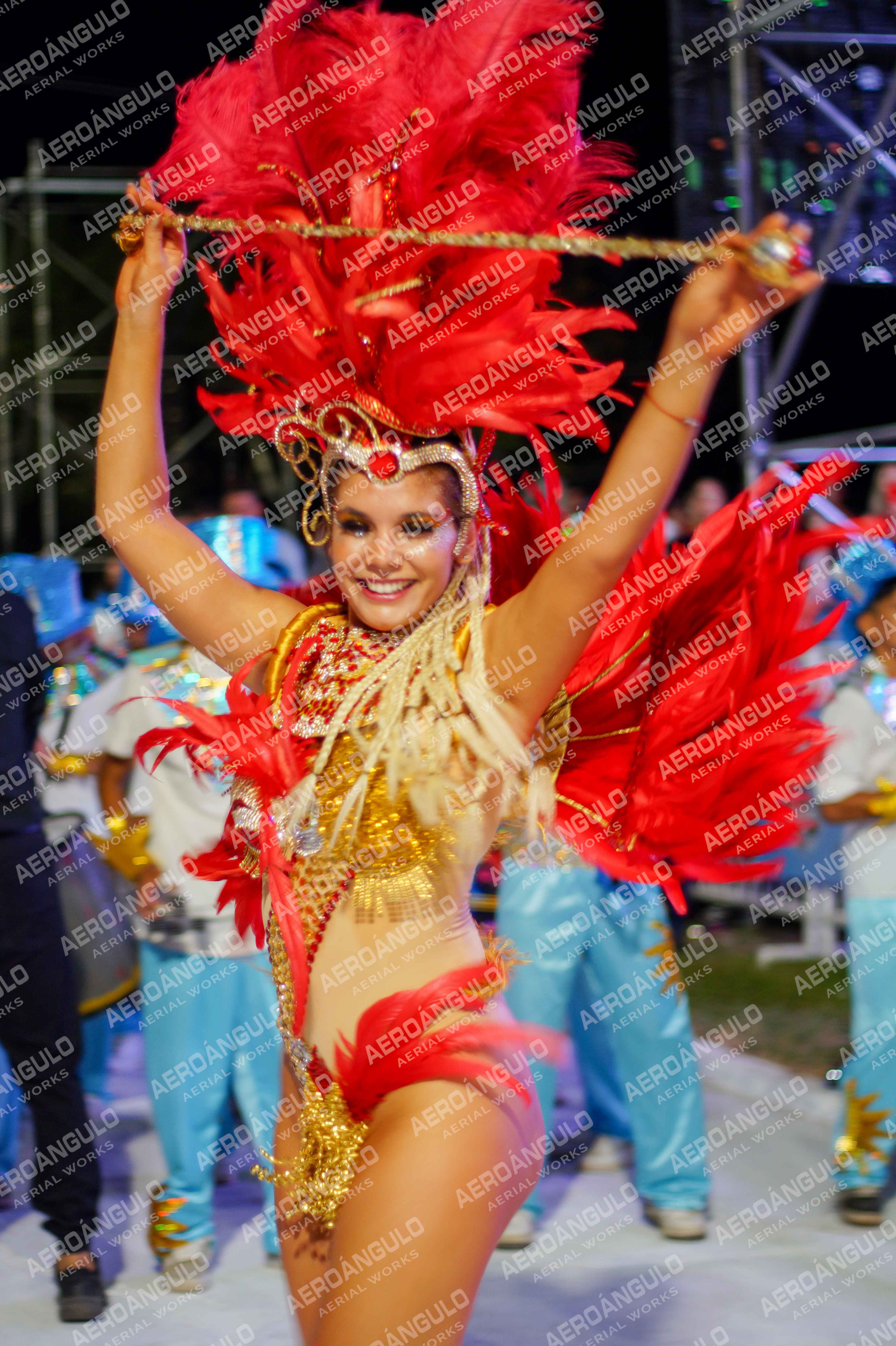 CAROCARNAVALESDIA1 N°311