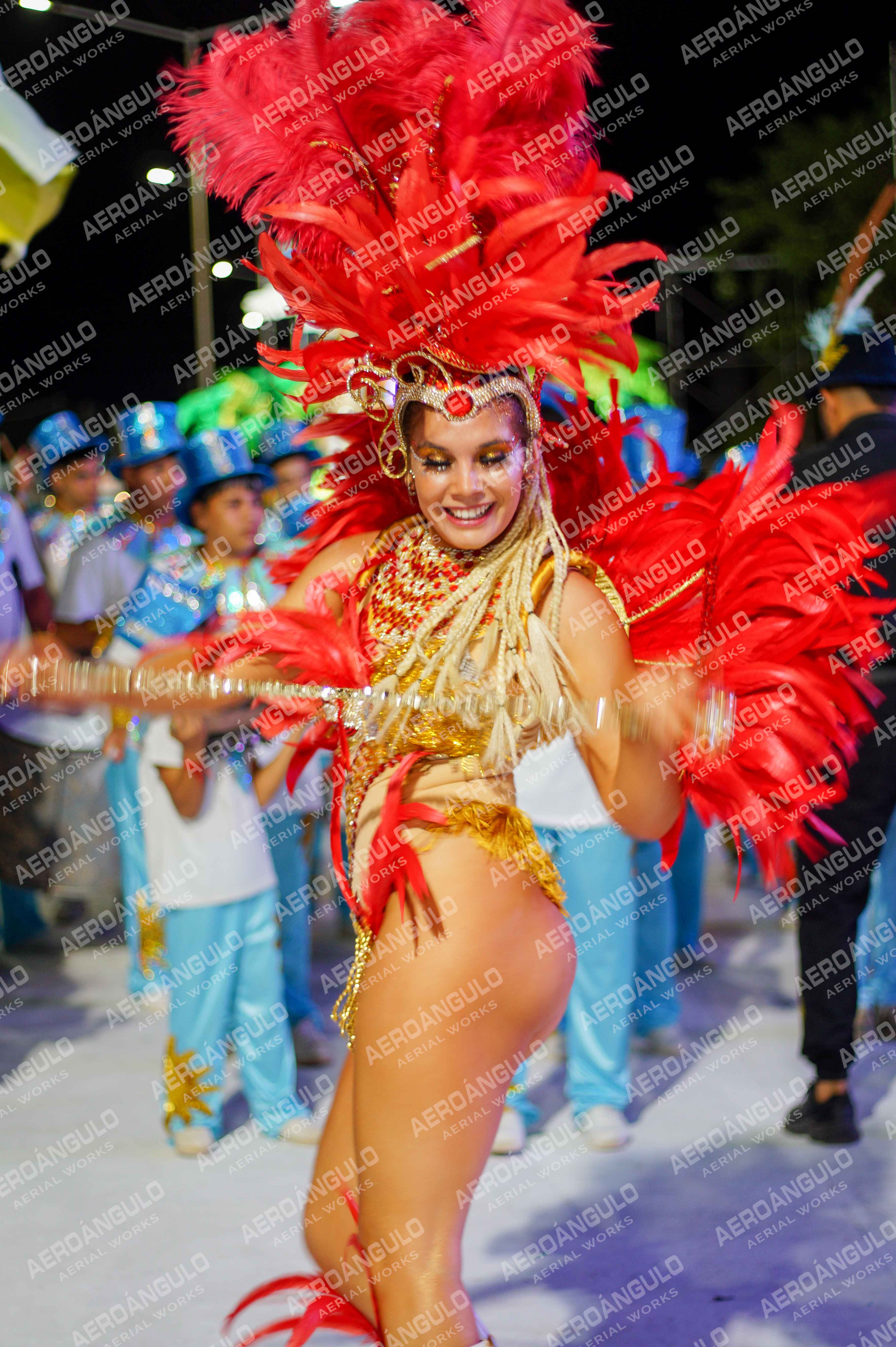 CAROCARNAVALESDIA1 N°312