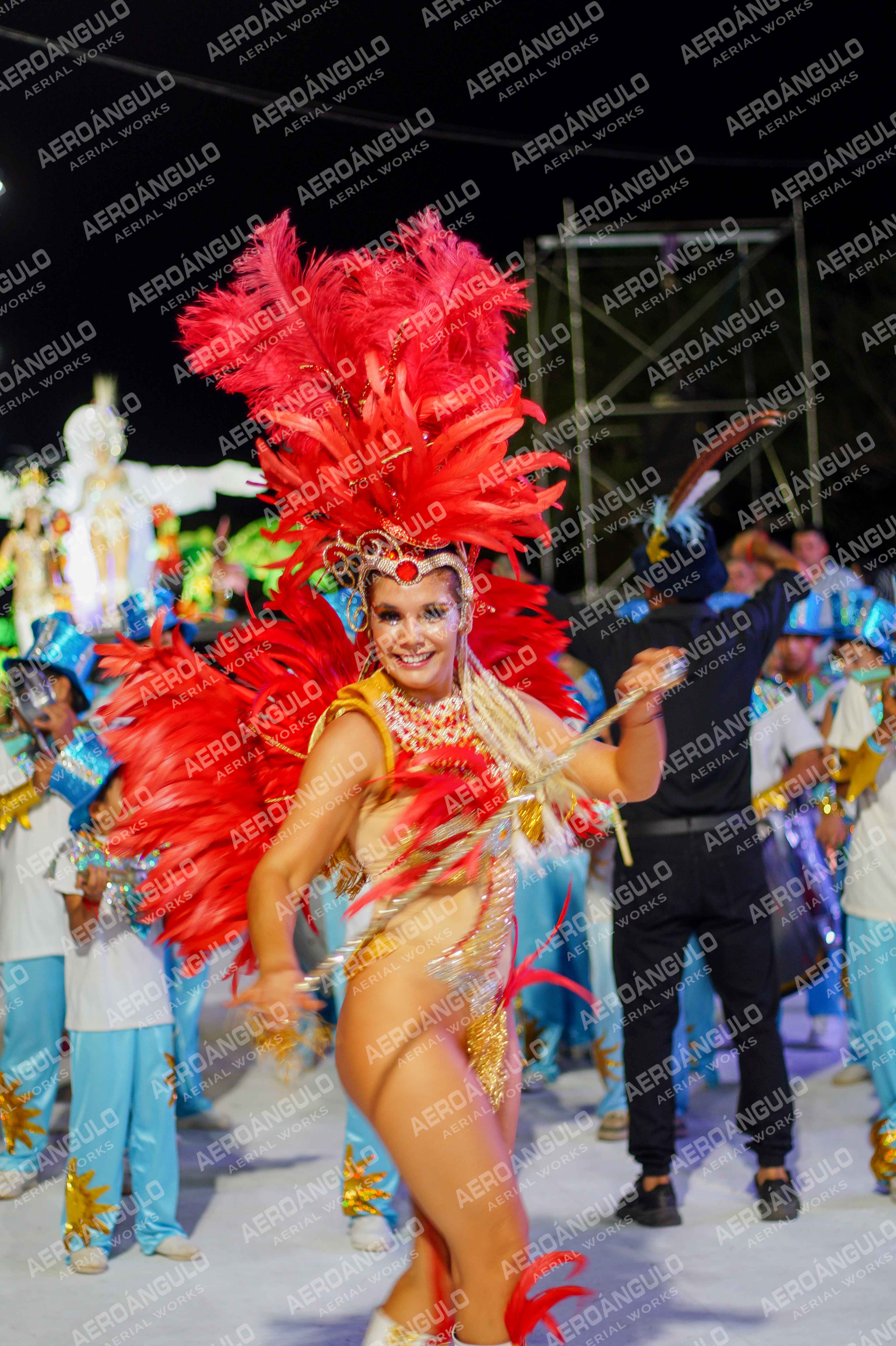 CAROCARNAVALESDIA1 N°313
