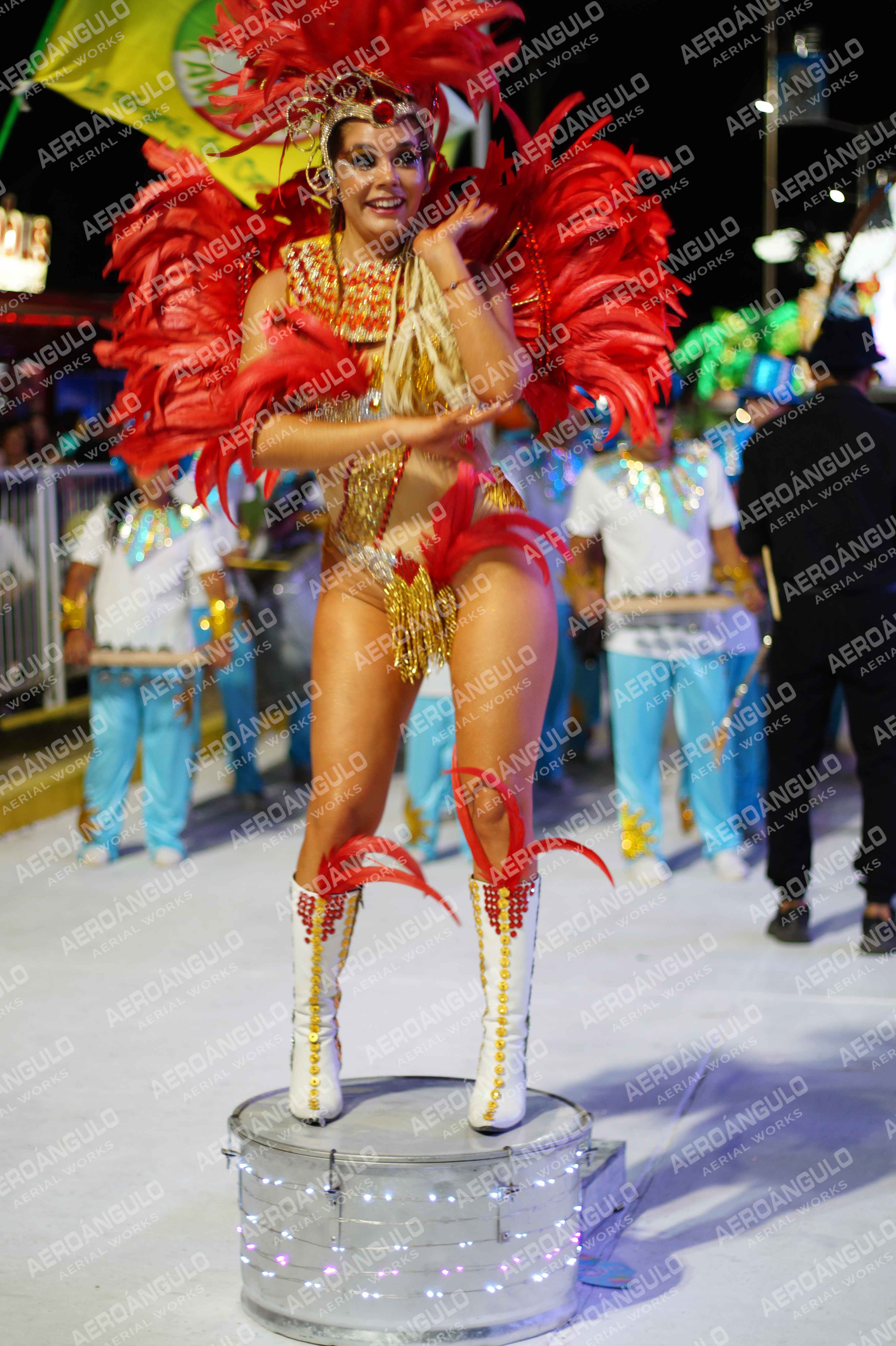 CAROCARNAVALESDIA1 N°316