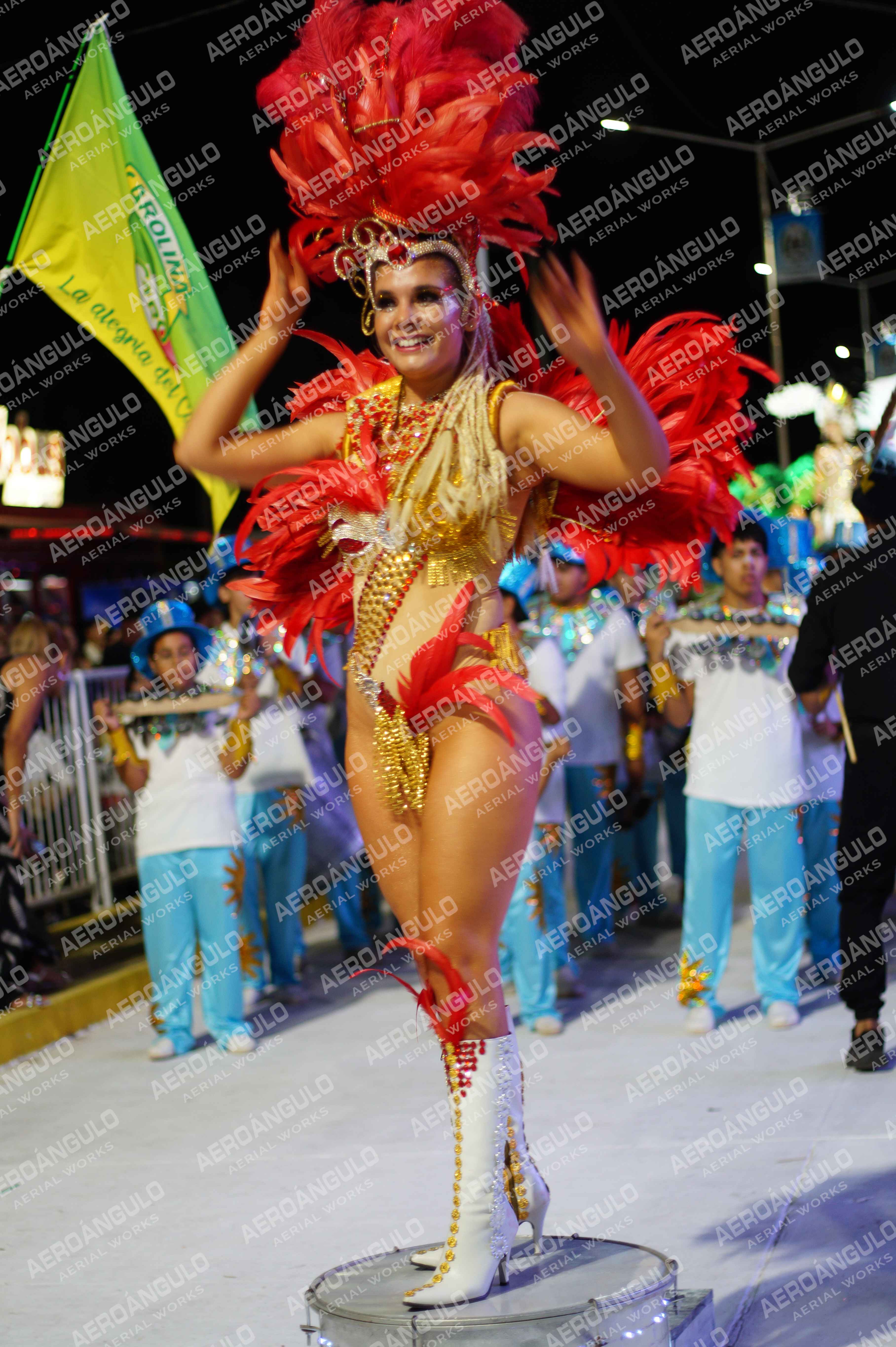 CAROCARNAVALESDIA1 N°317