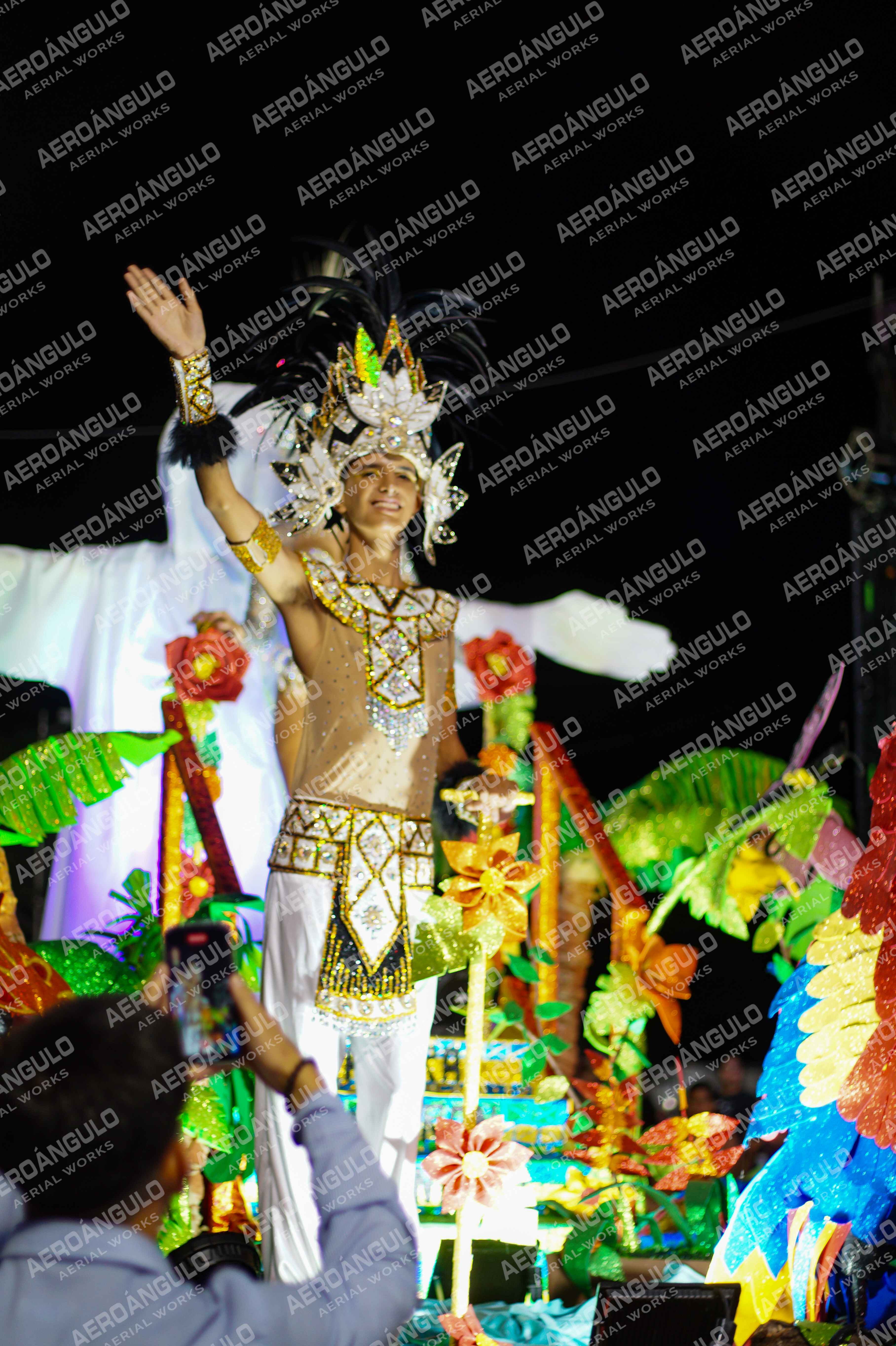 CAROCARNAVALESDIA1 N°319