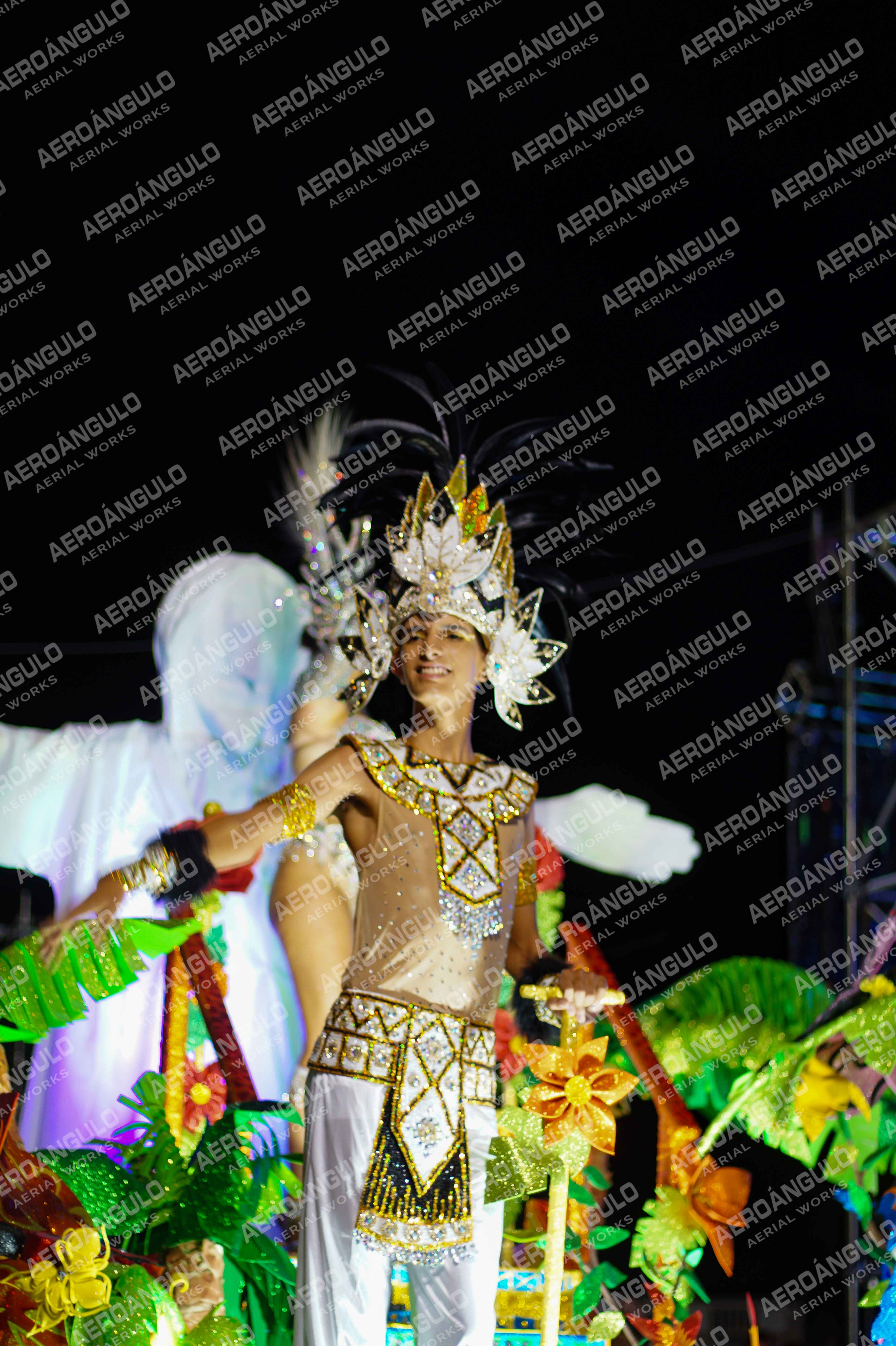 CAROCARNAVALESDIA1 N°320