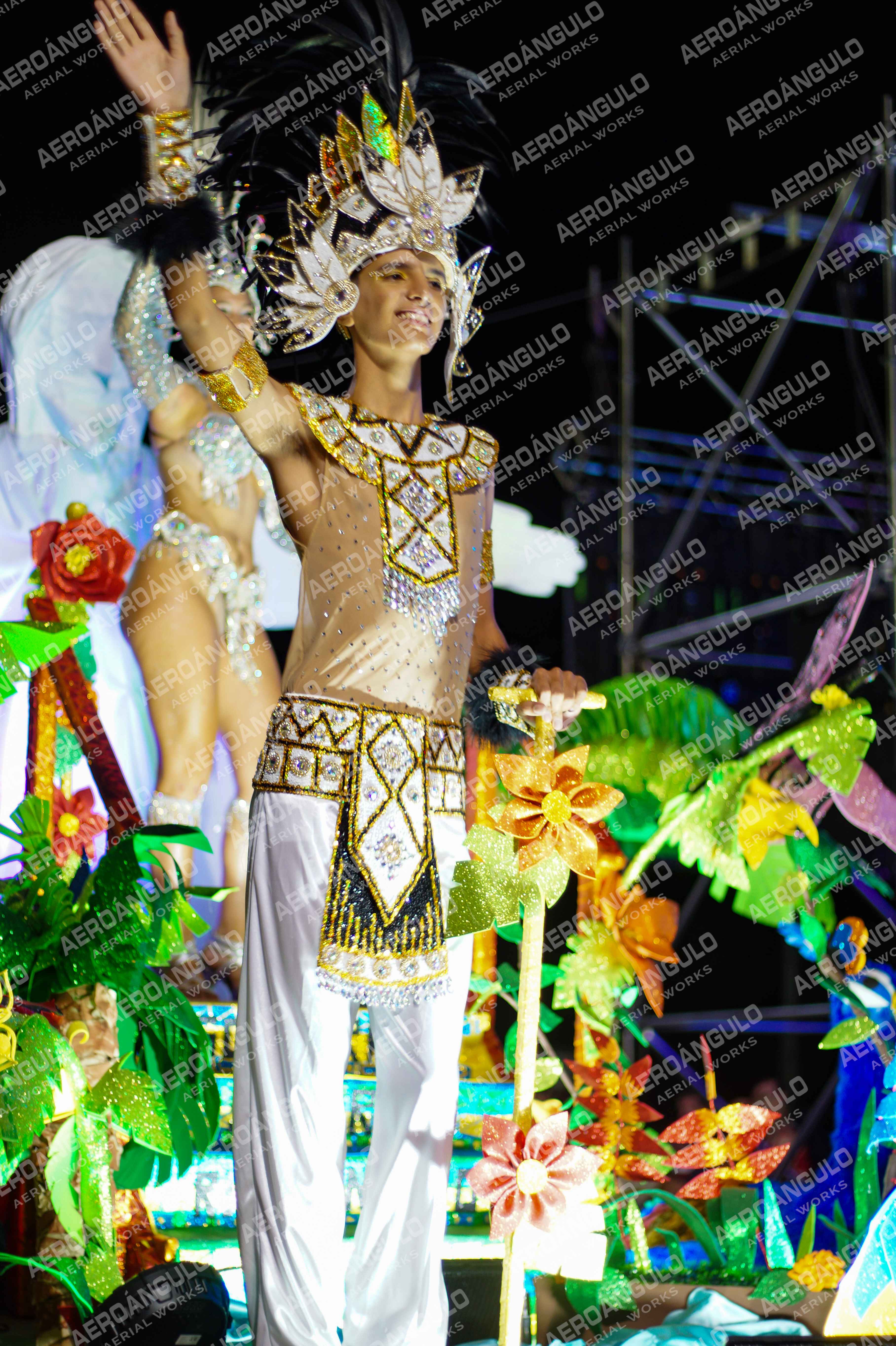 CAROCARNAVALESDIA1 N°321