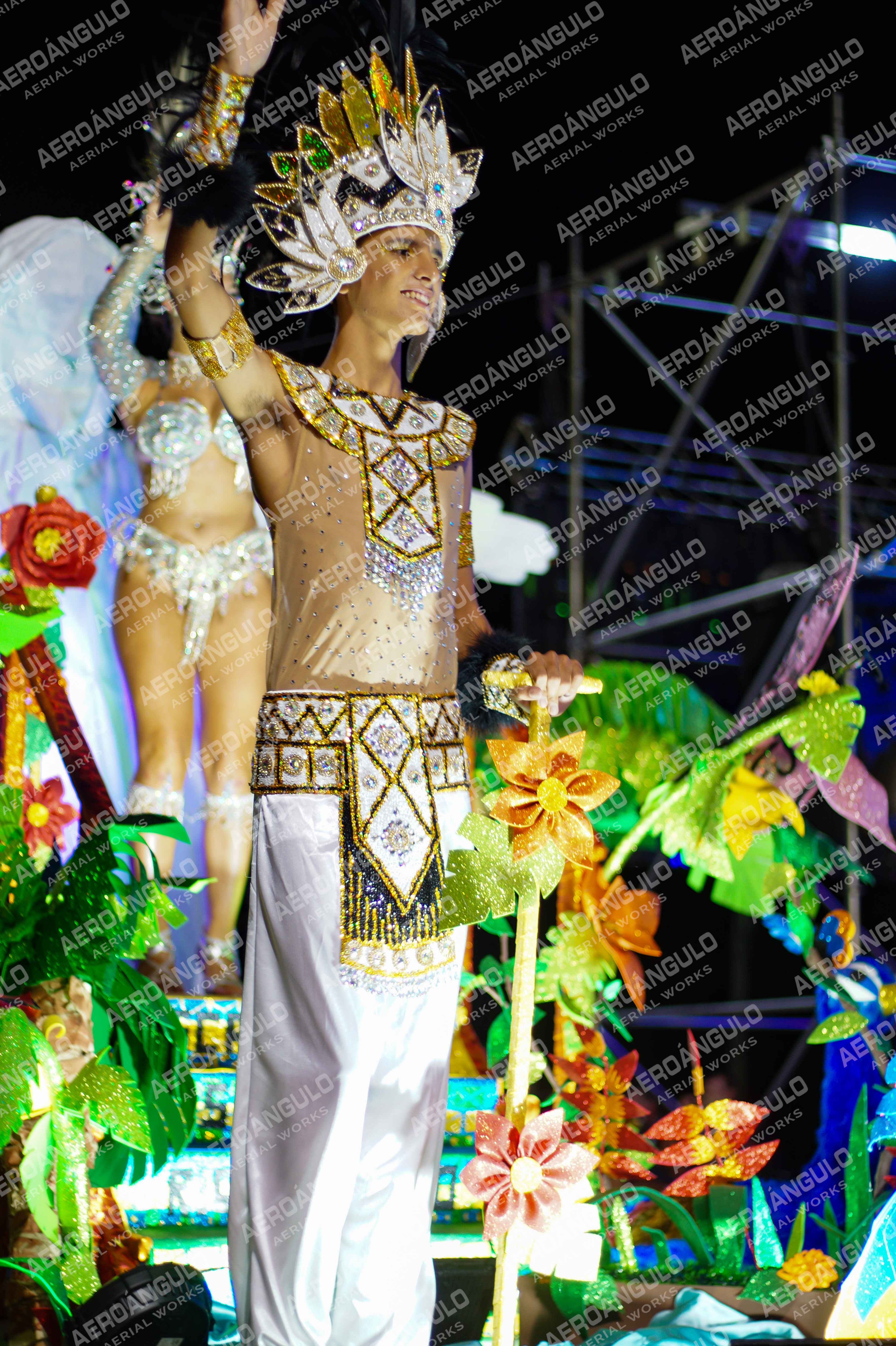CAROCARNAVALESDIA1 N°322