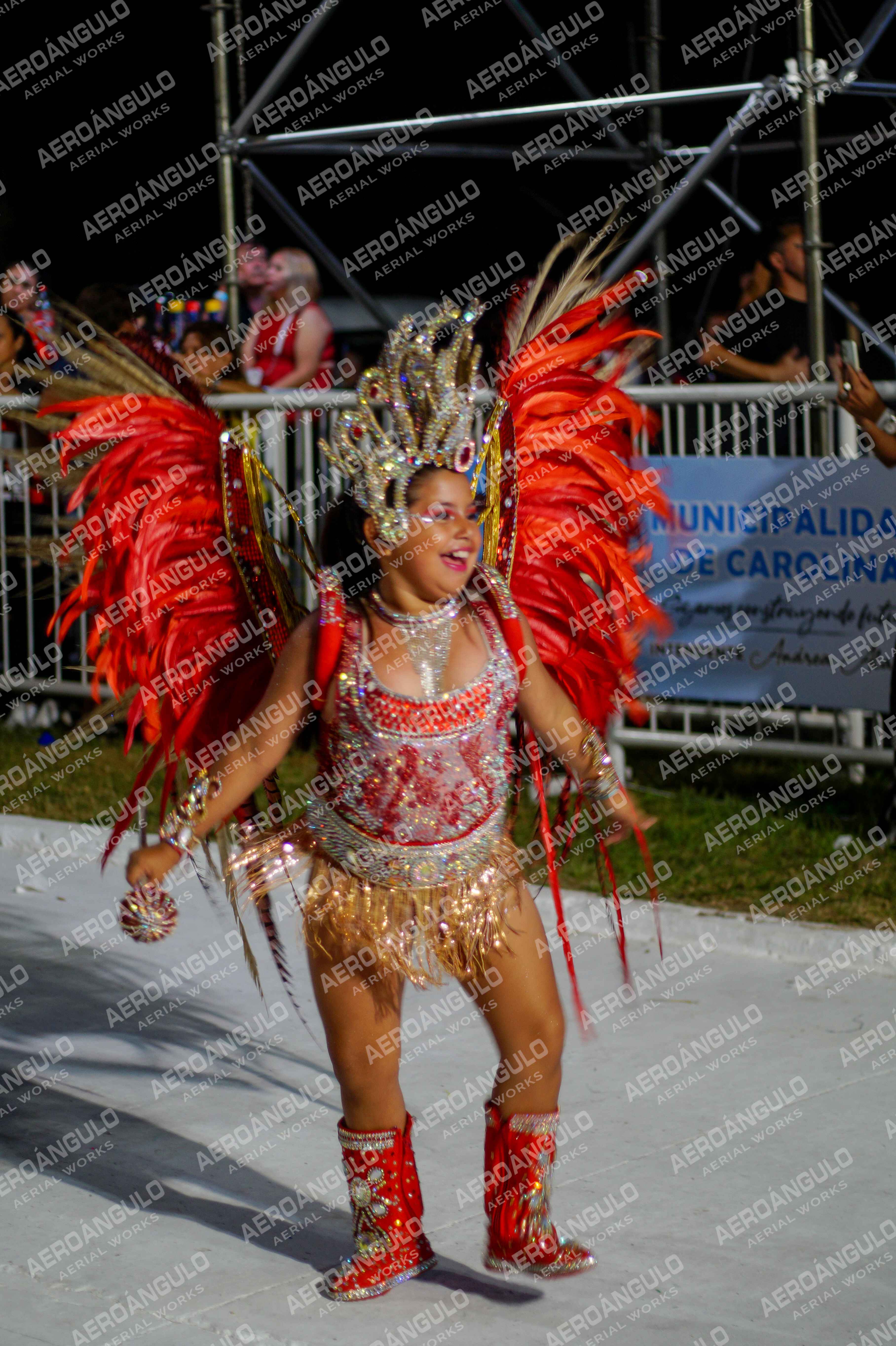CAROCARNAVALESDIA1 N°324