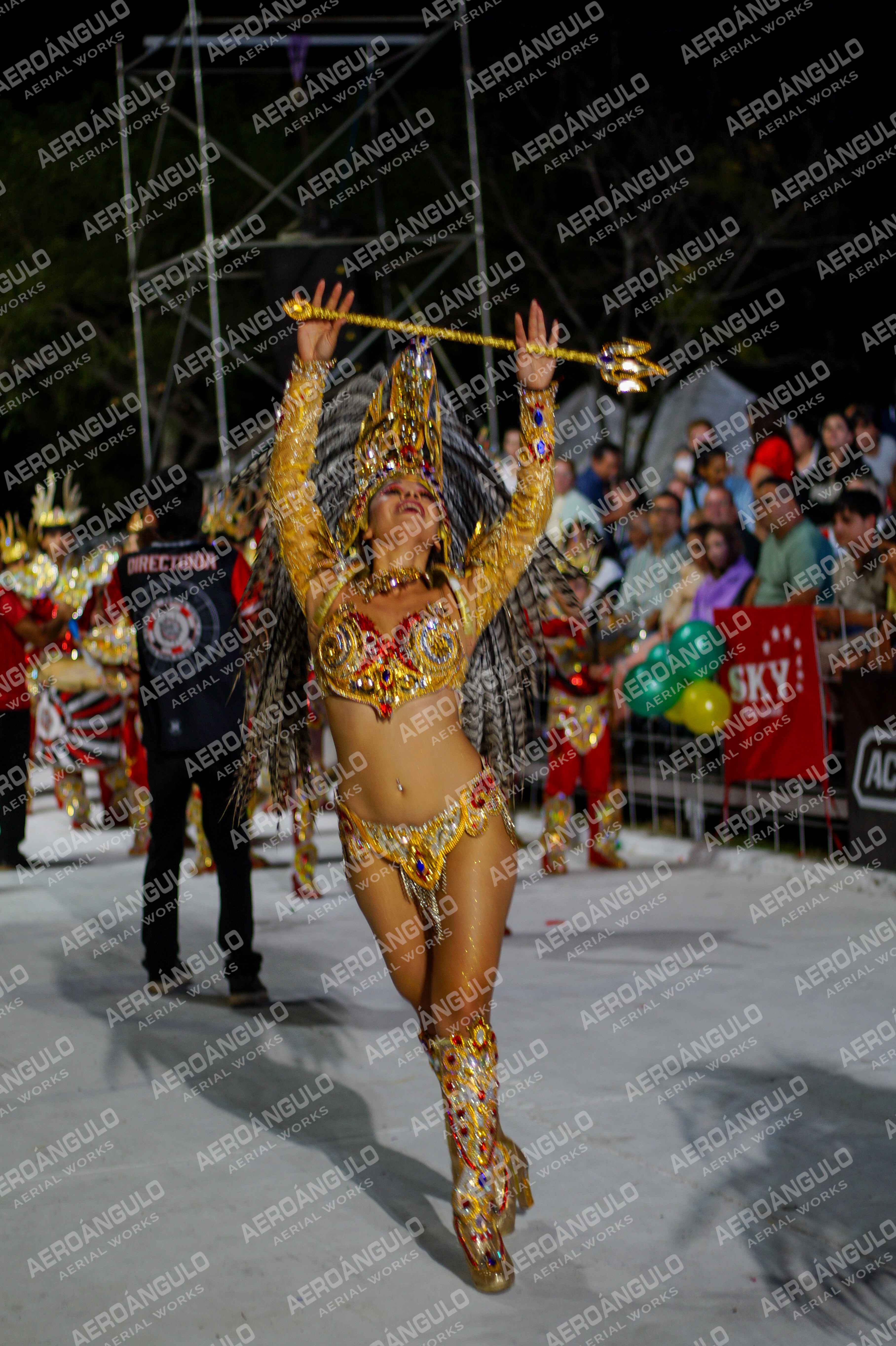 CAROCARNAVALESDIA1 N°325