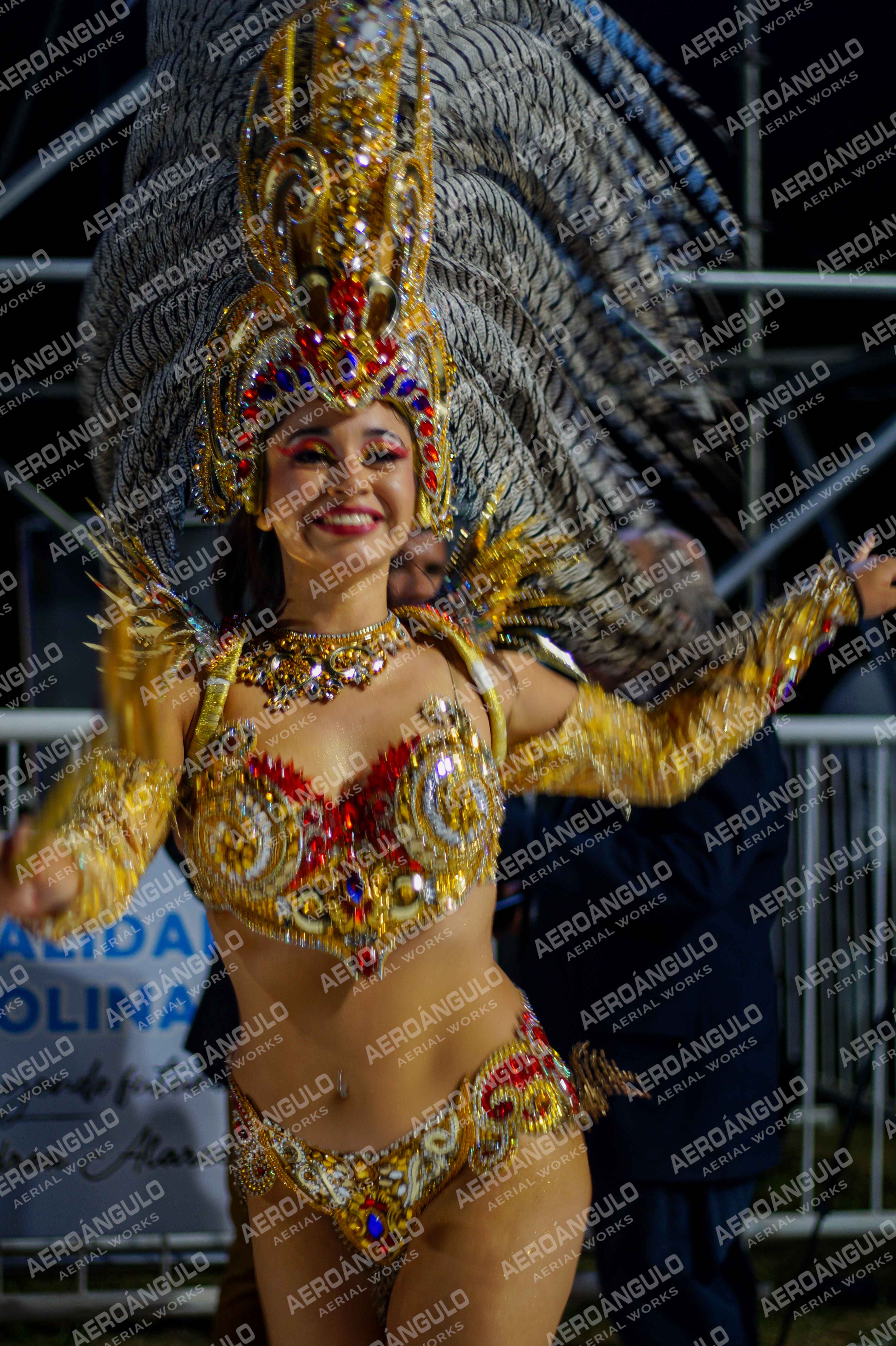 CAROCARNAVALESDIA1 N°332