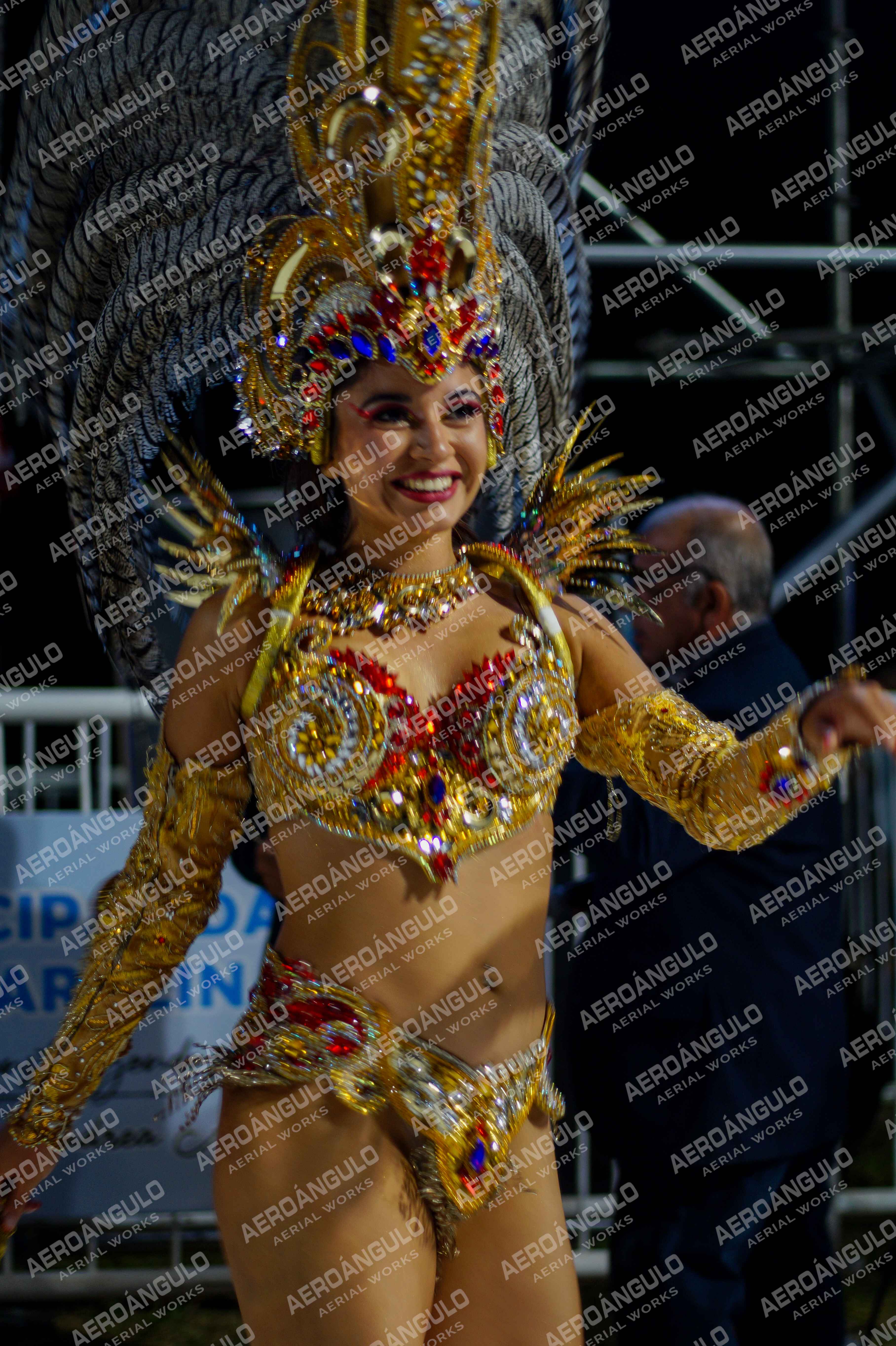 CAROCARNAVALESDIA1 N°333